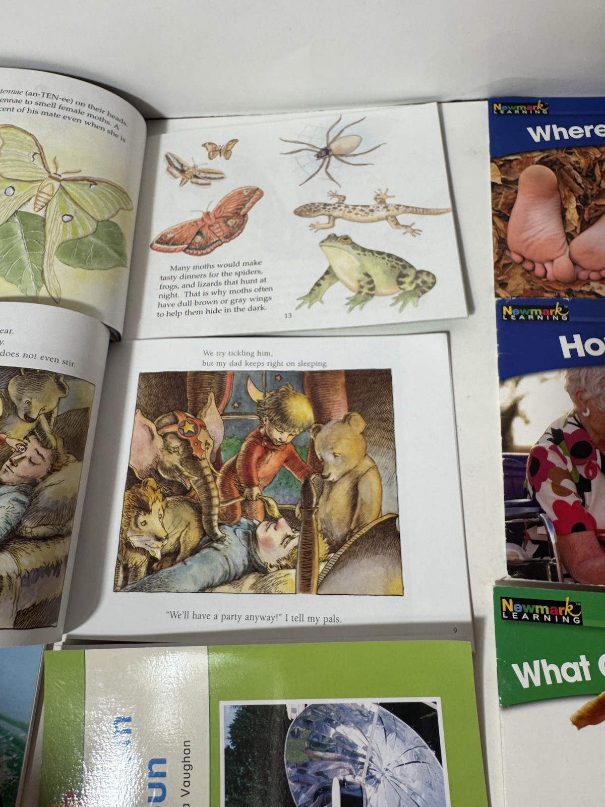 Newmark Learning Dynamics Readers I Can Read About Phonics Easy Read Child Lot