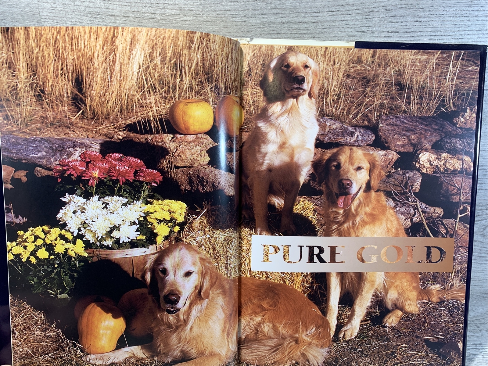 For the Love of Golden Retrievers Hard Cover Book – By Robert Hutchinson