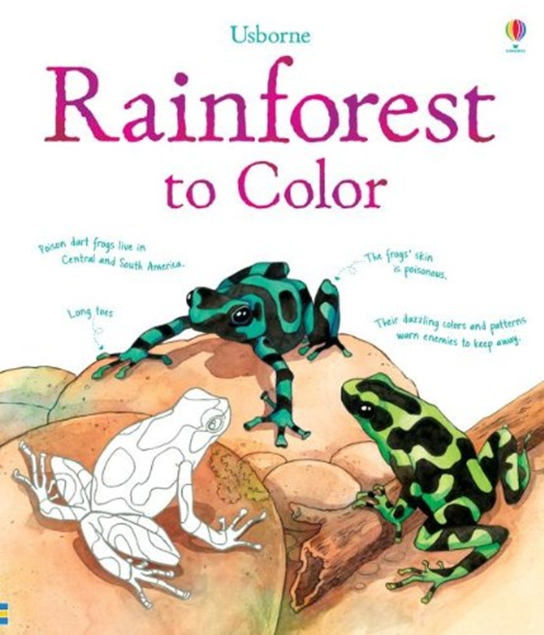 Rainforest to Color – Usborne Coloring Book / Animals, Flowers, Birds + / New!
