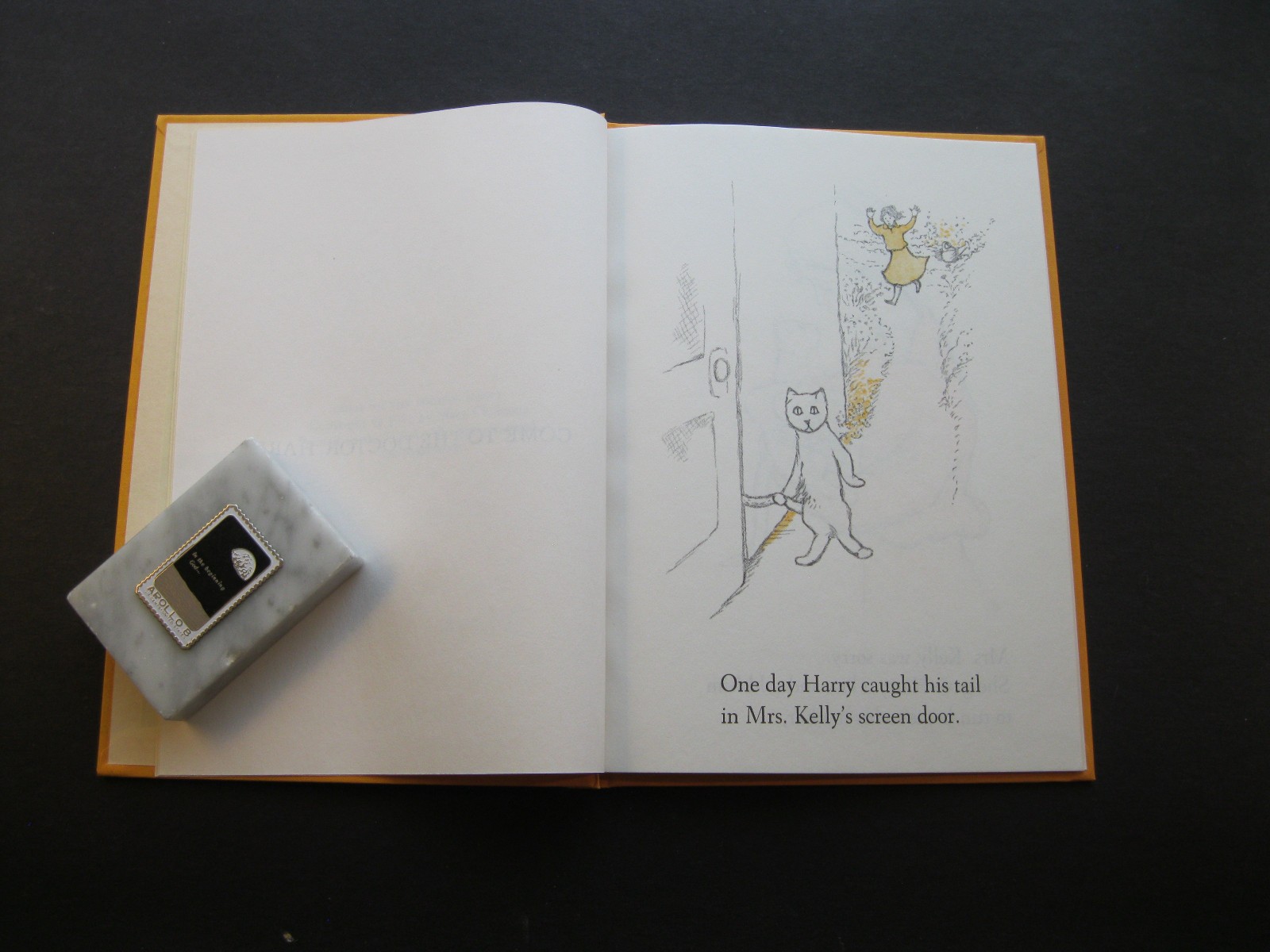 COME TO THE DOCTOR, HARRY Mary Chalmers 1981 hb cat tail hurt 7×9 VG