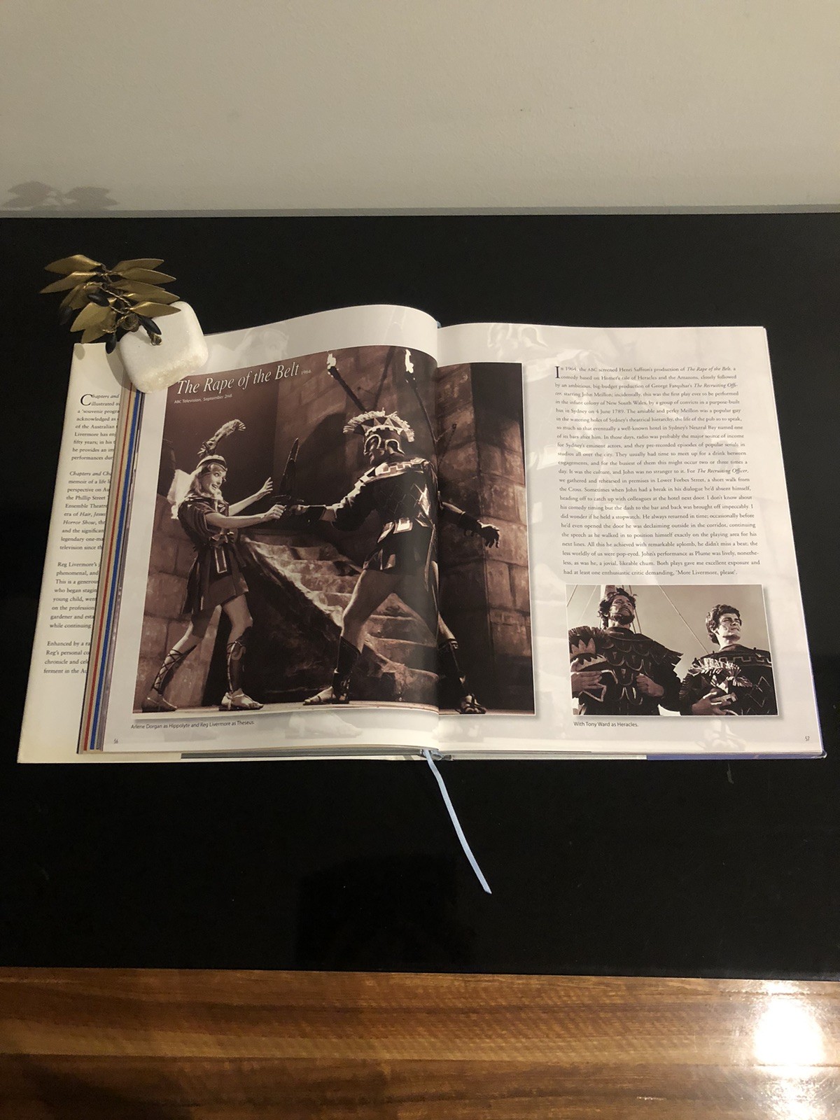 Reg Livermore Chapters And Chances H G B 2003 First Ed/F.Print HC DJ LN 🇦🇺🎭