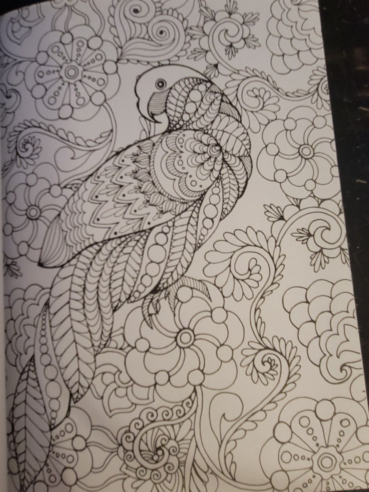 COLORS OF THE WILD Vol. 23 Adult Coloring Book With 47 Prints Ready To Frame!