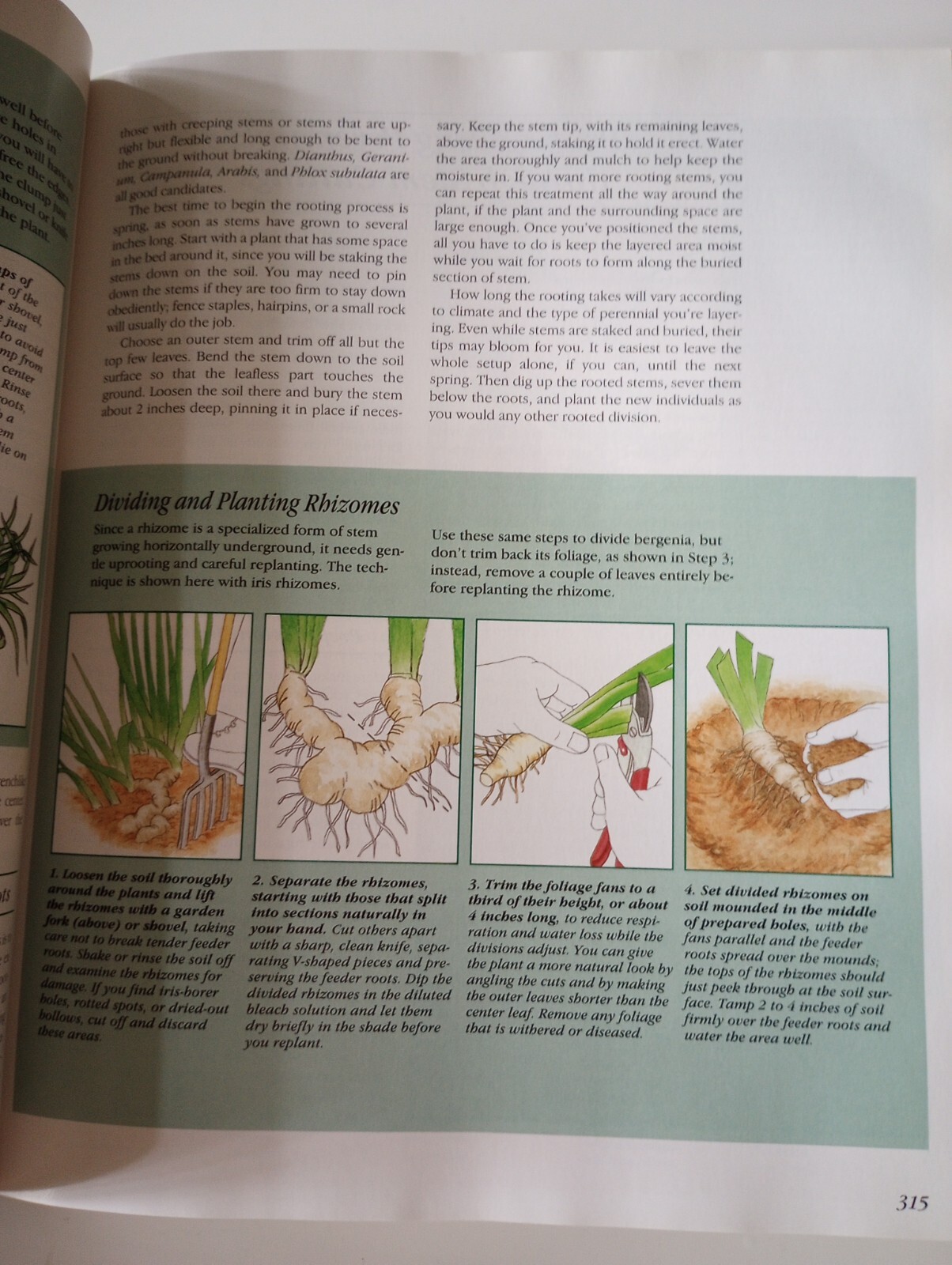 The Complete Garden Guide : A Comprehensive Reference for All Your Garden Needs