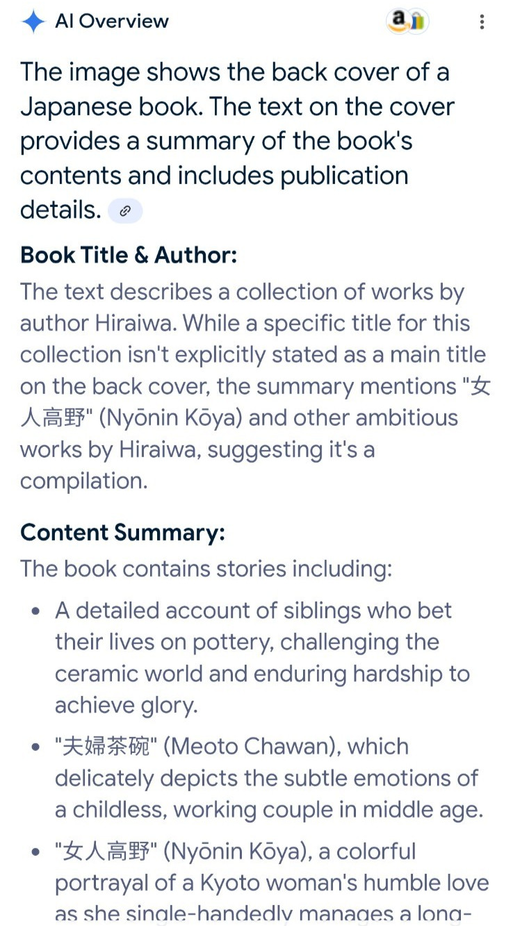 Japanese Novel: Yakimono-shi, Author: Yumie Hiraiwa, Publisher: Shueisha Bunko