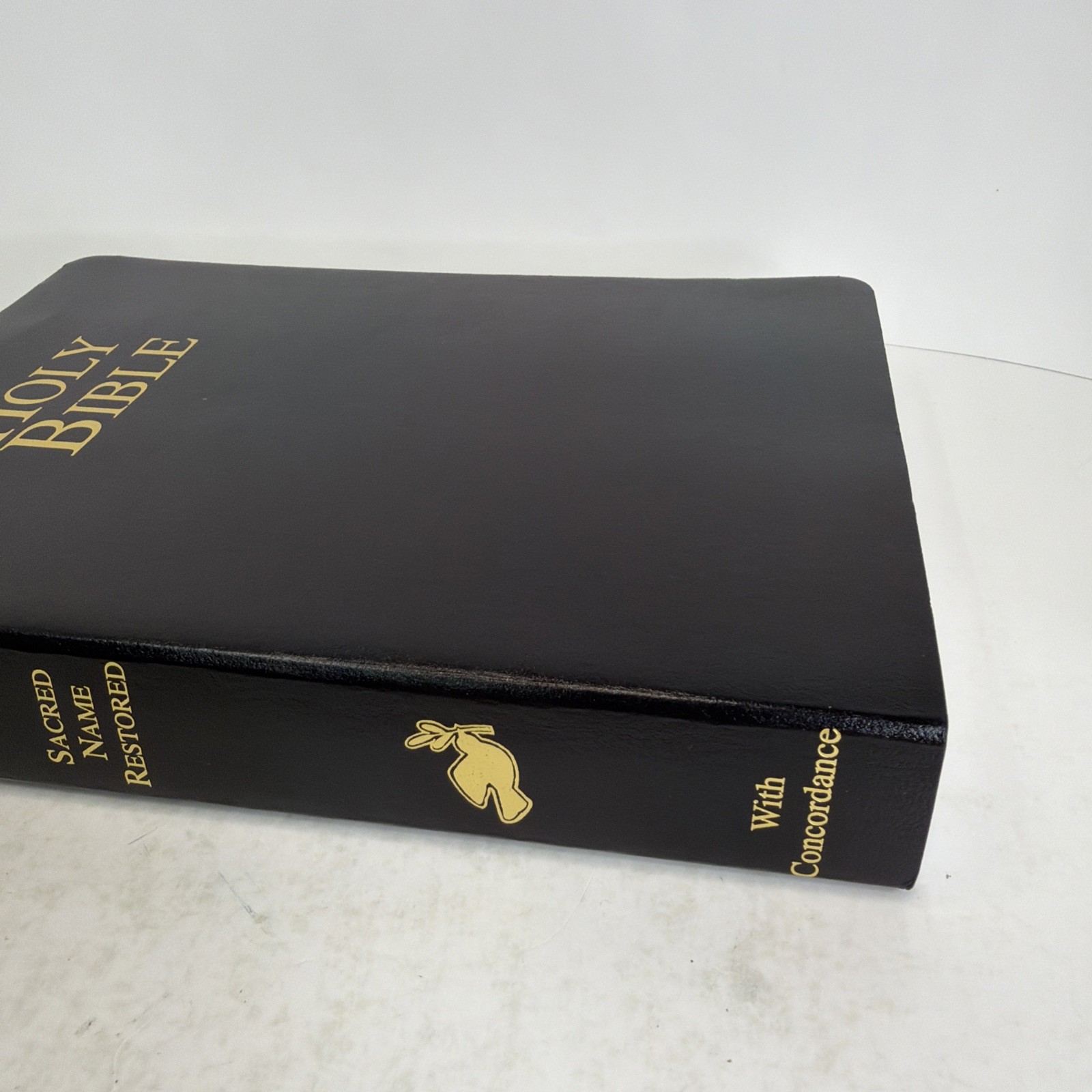 2002 Restoration of Original Sacred Name Holy Bible 7th Ed. Rotherham Version