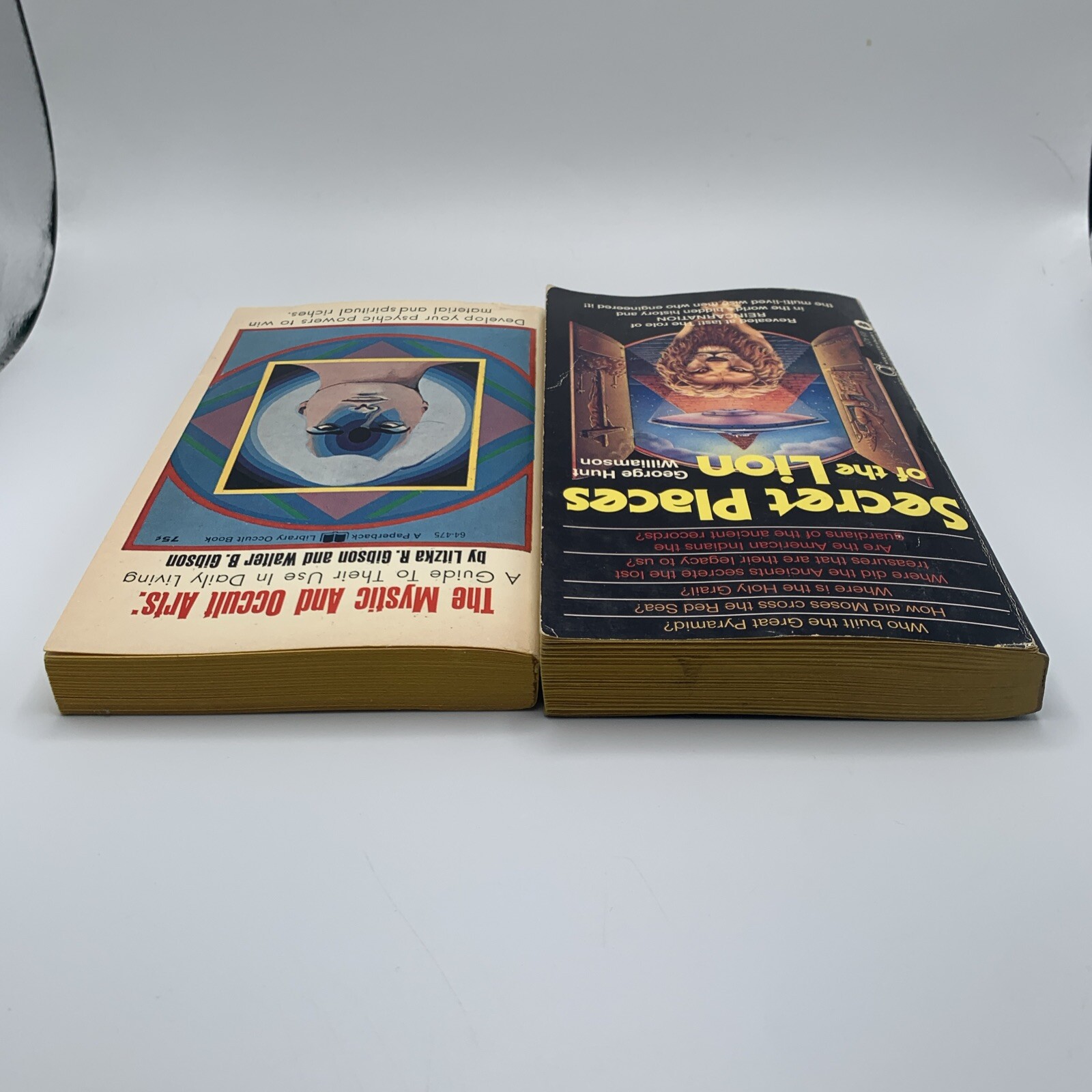 The Mystic and Occult Arts Guide Litzka Gibson 1969 Secret Places Williamson 1st