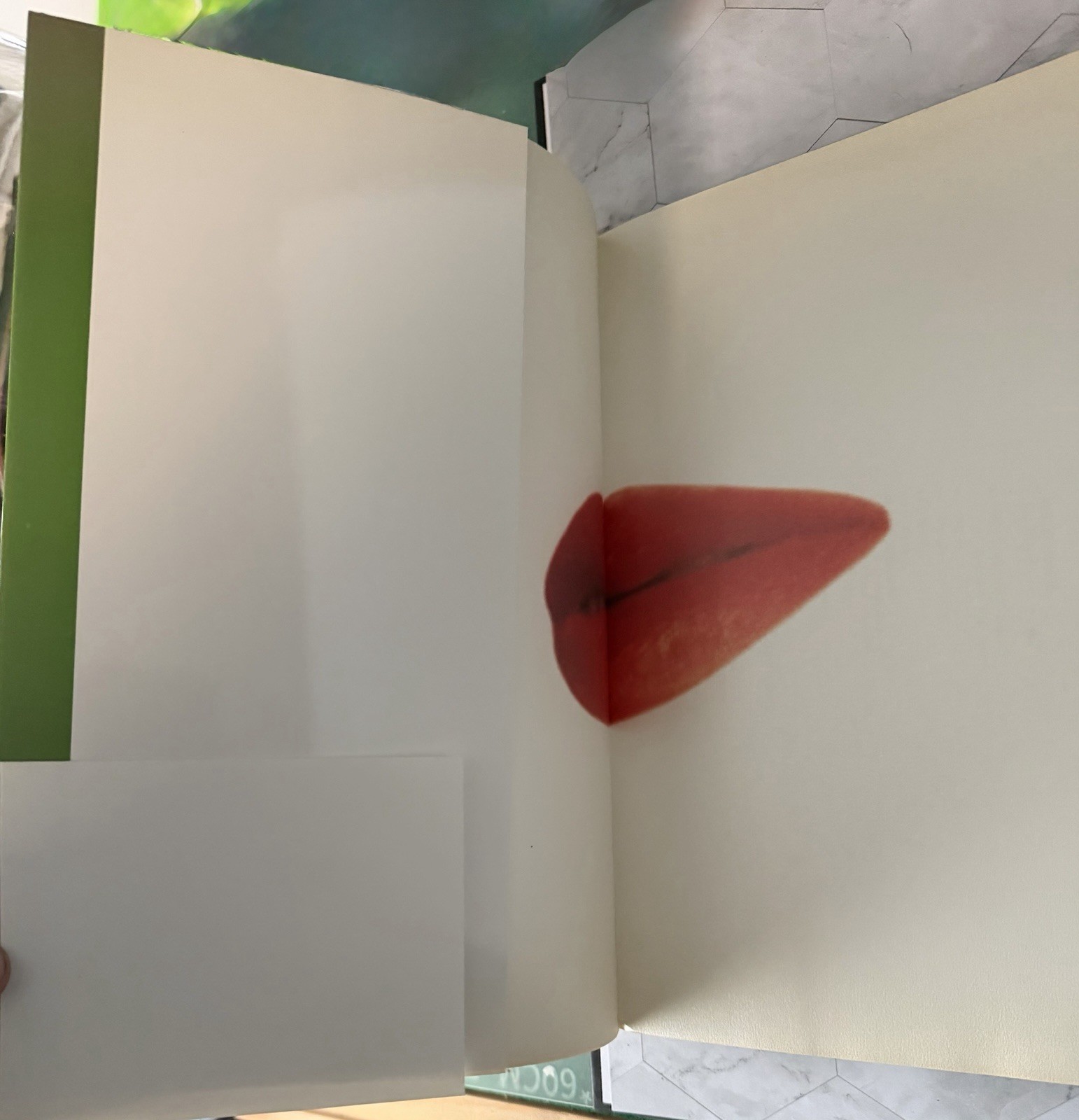 Kir Royal • Yoko Shimada • Japanese Photobook W/ Obi • First Edition • USA Ship