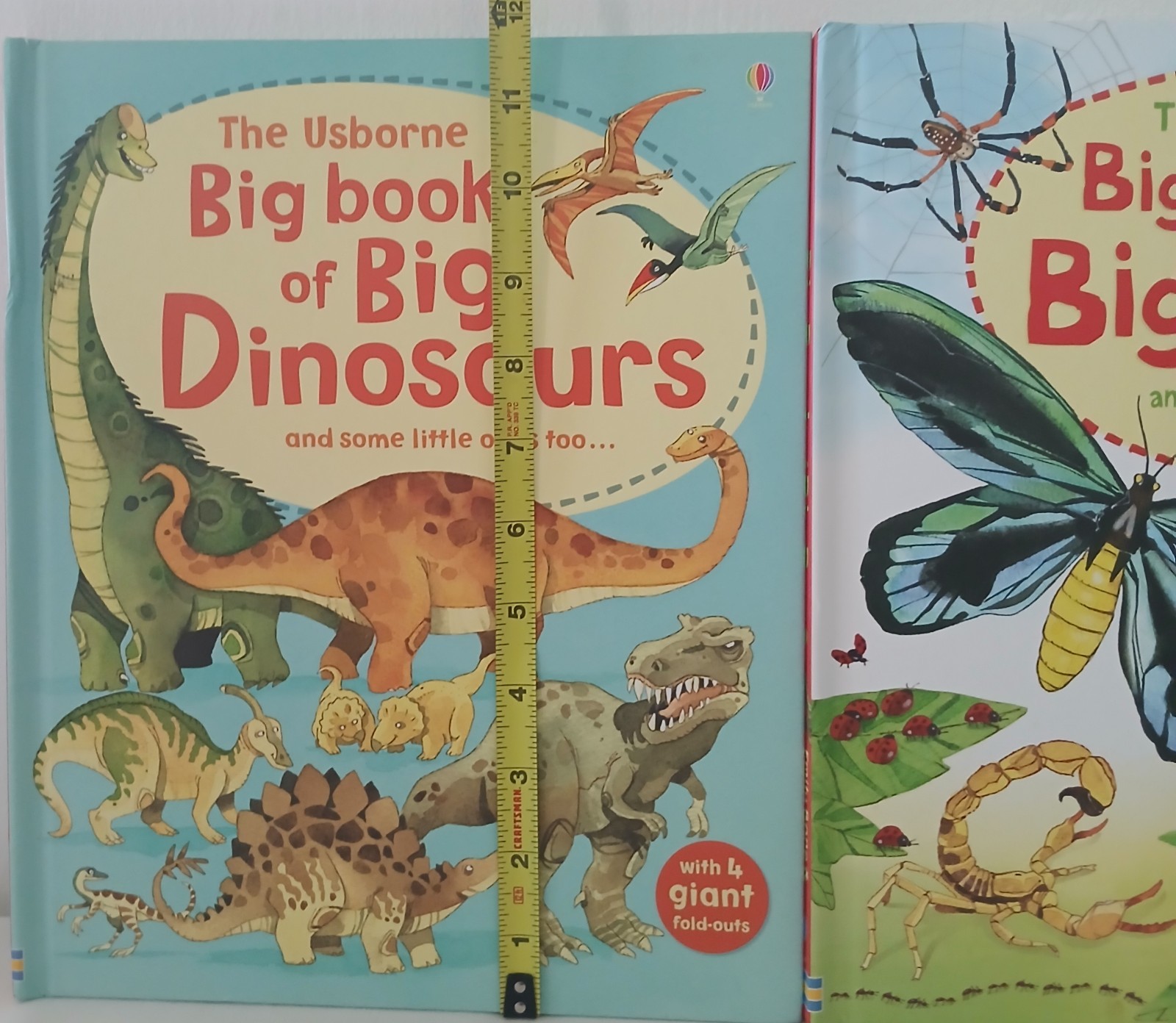 Usborne Big Book Of Dinosaurs & Bugs STEM Learning Fold-Out Pages Home School
