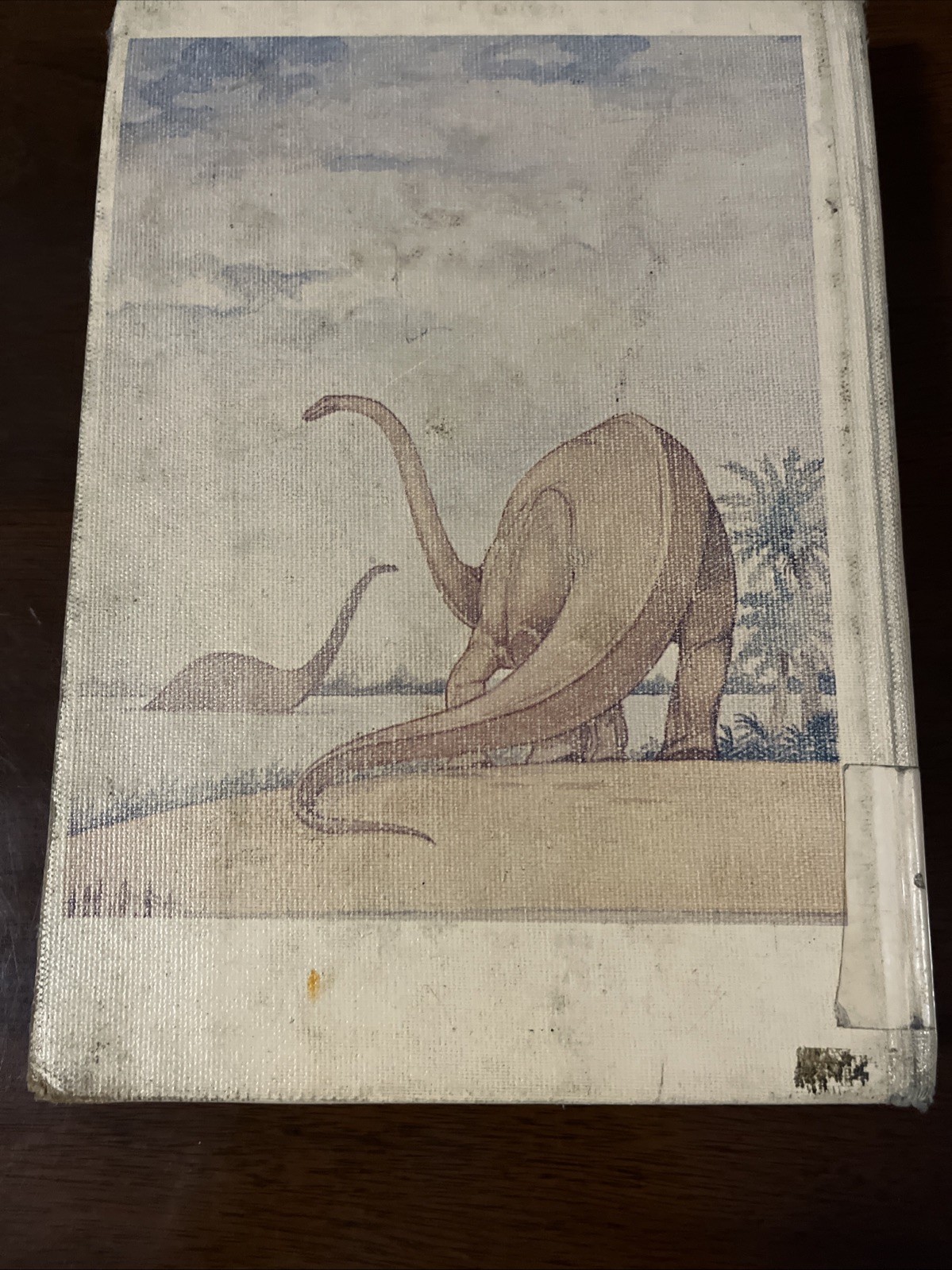 The Illustrated Dinosaur Dictionary by Helen Roney Sattler, Resource Learning