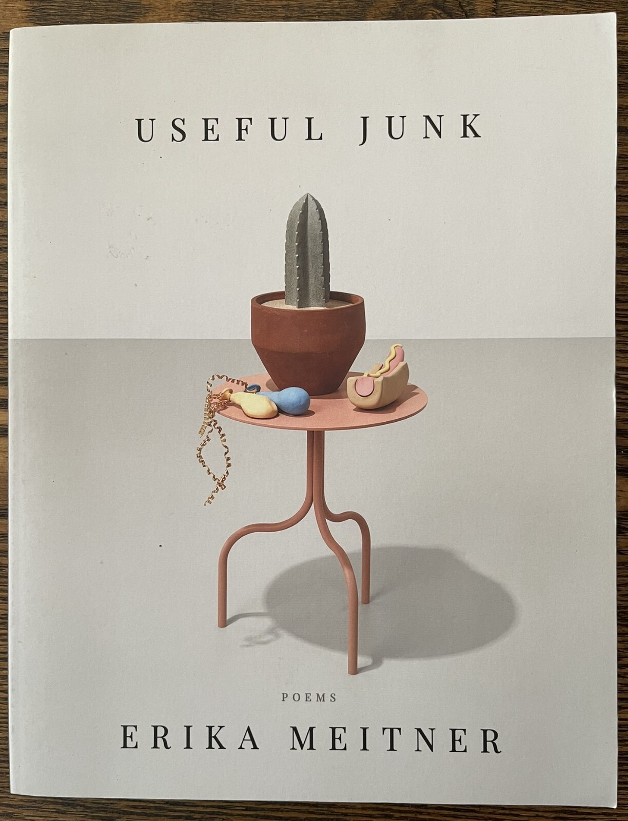 Erika Meitner Useful Junk (Paperback) American Poets Continuum Series VG