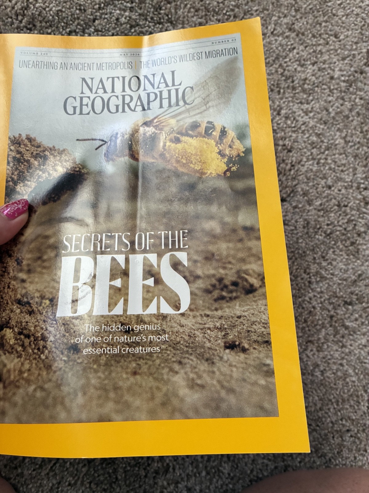 🟥 May 2026 National Geographic magazine Secrets of Bees, robots SPECIAL ISSUE