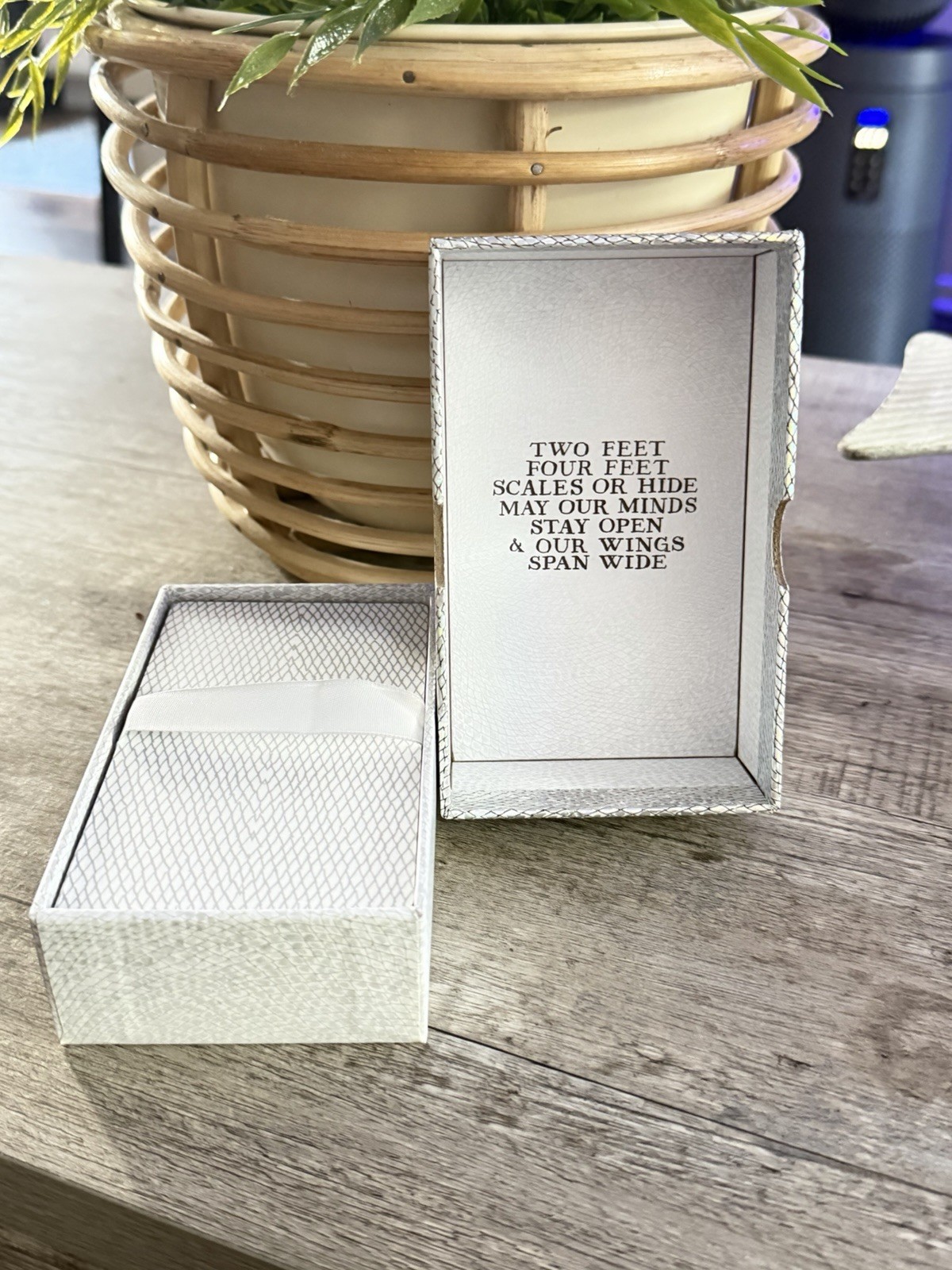 The Wild Unknown Animal Spirit Deck (official Keepsake Box Set By Kim Krans)