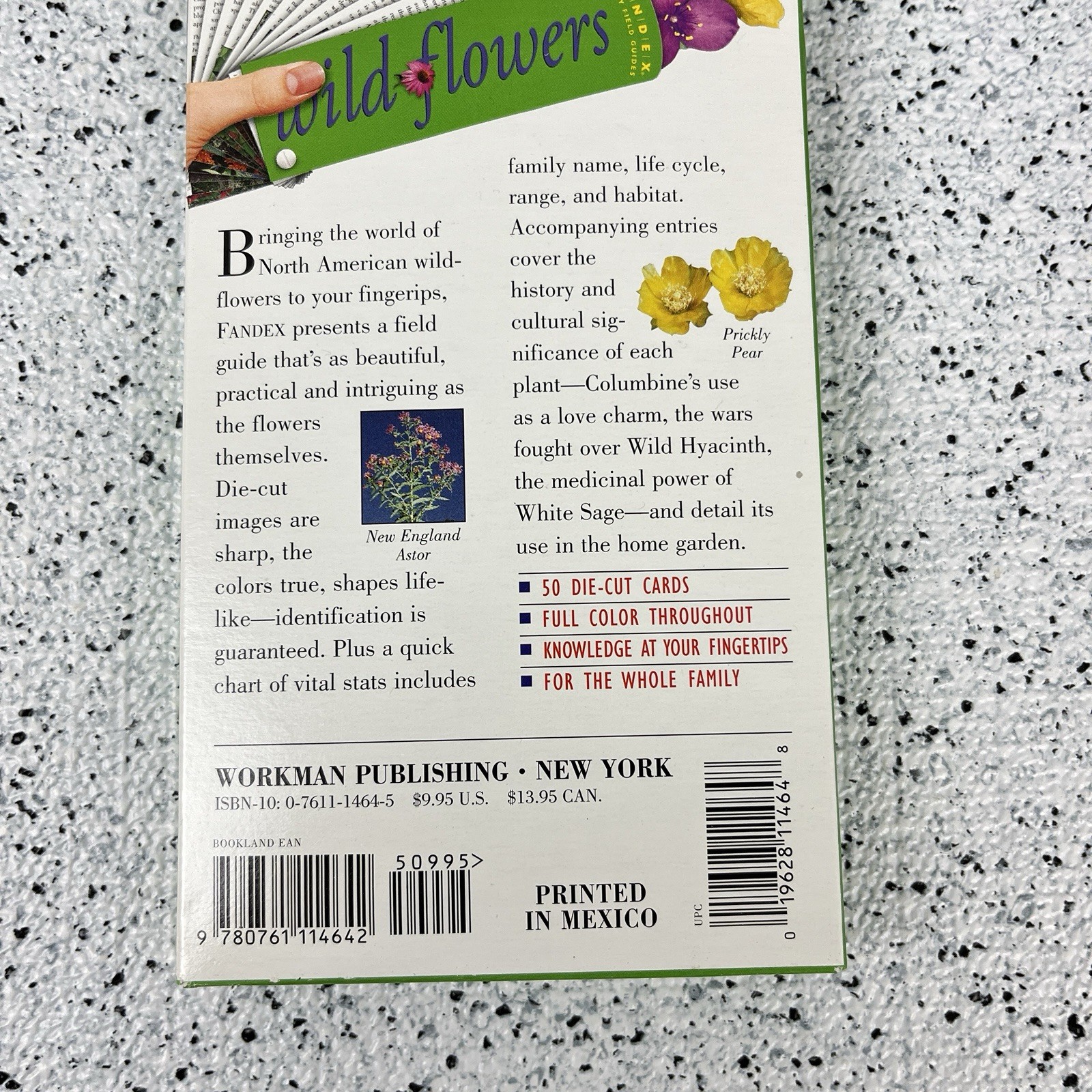 FANDEX Family Field Guide Wildflowers Full Color Die Cut Cards Homeschool