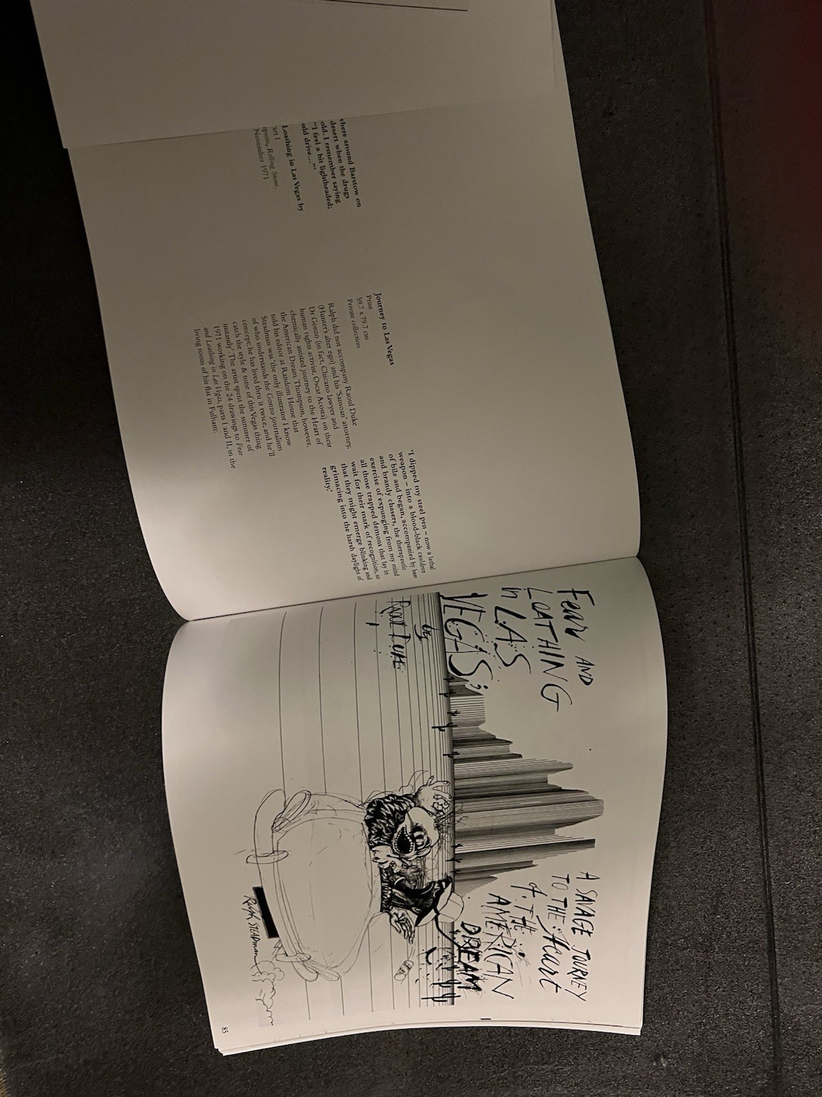 Ralph Steadman book