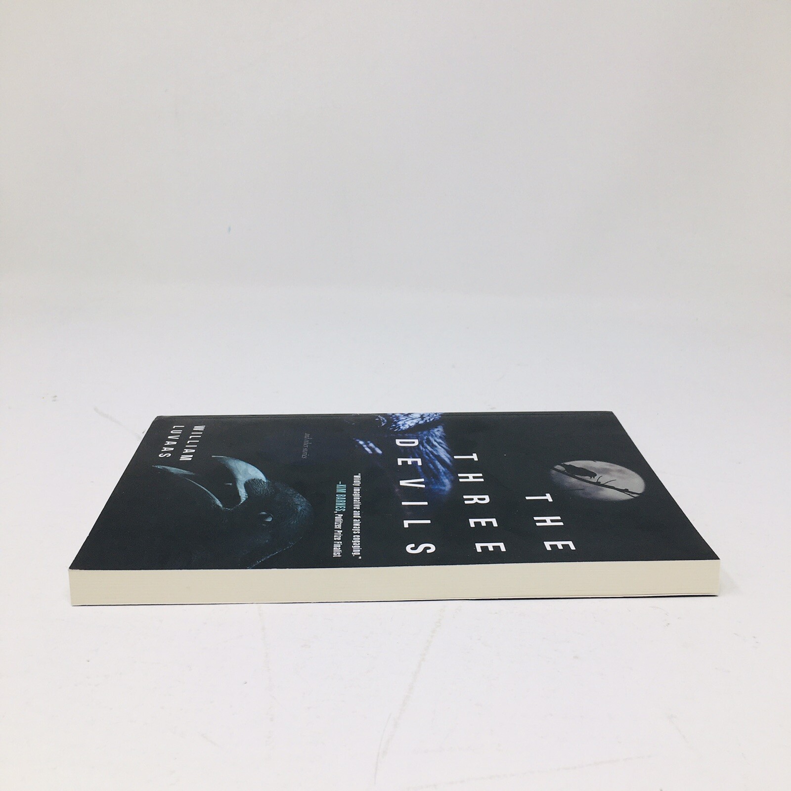 Three Devils ARC by William Luvaas Dystopian Stories Fantasy Climate Doom Proof