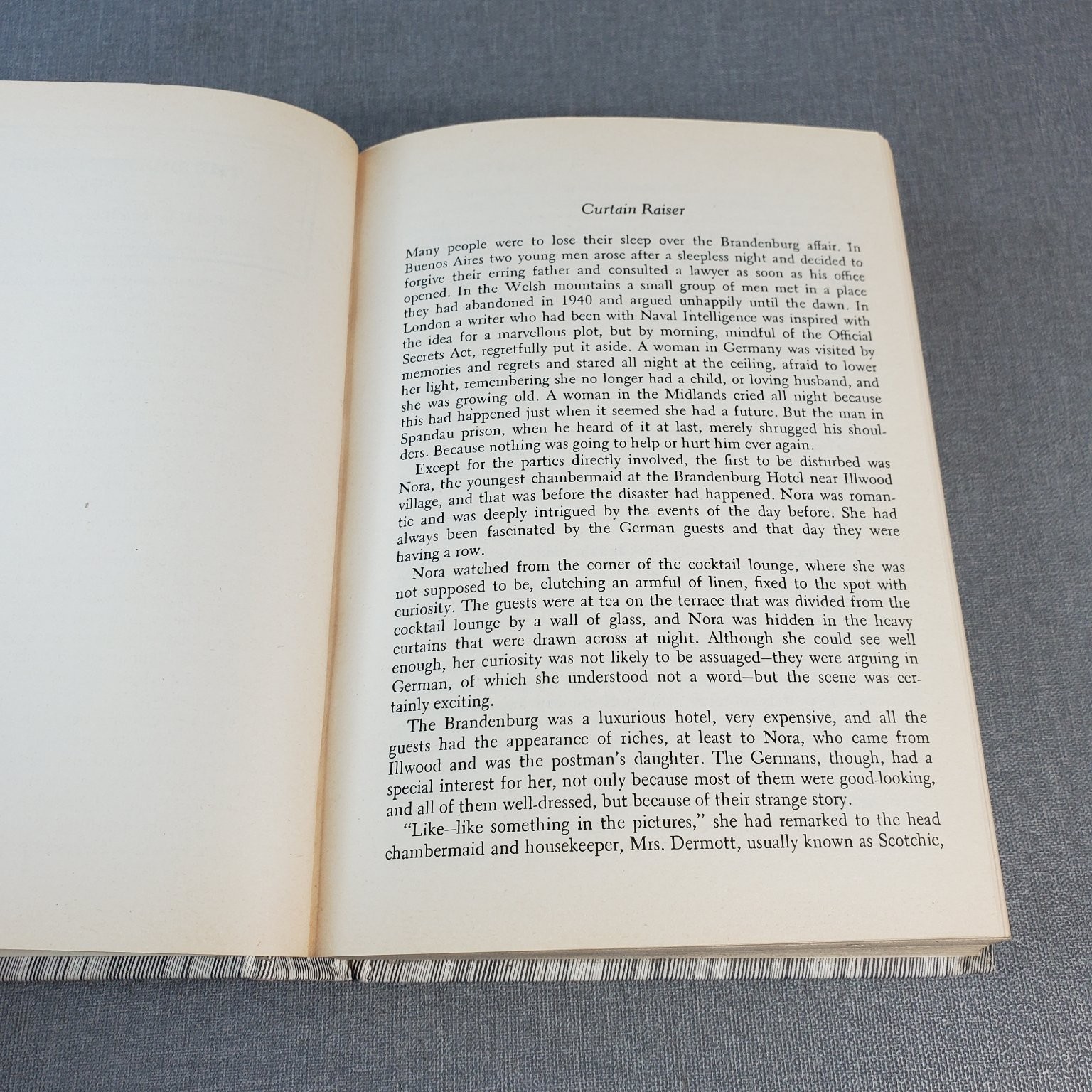 Detective Book Club 1976 Omnibus: Brandenburg Hotel, Gentle Albatross