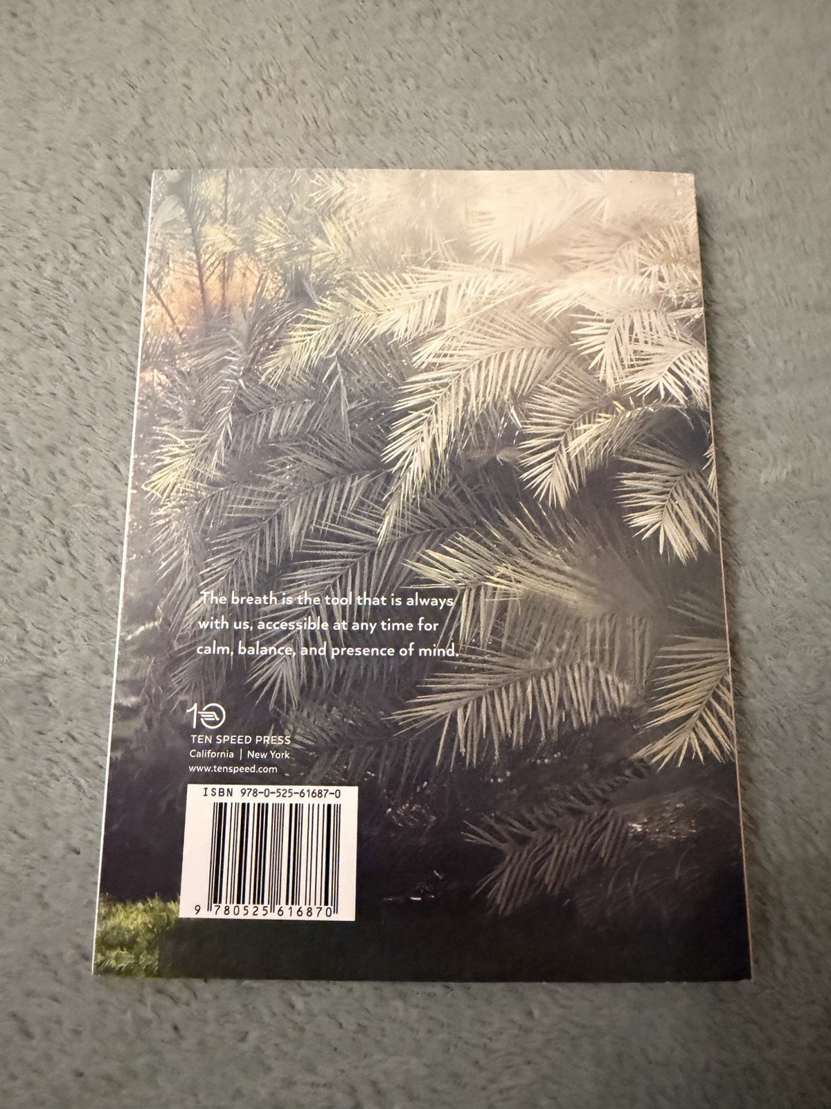 How to Breathe Ashley Neese Paperback Ten Speed Press 2019