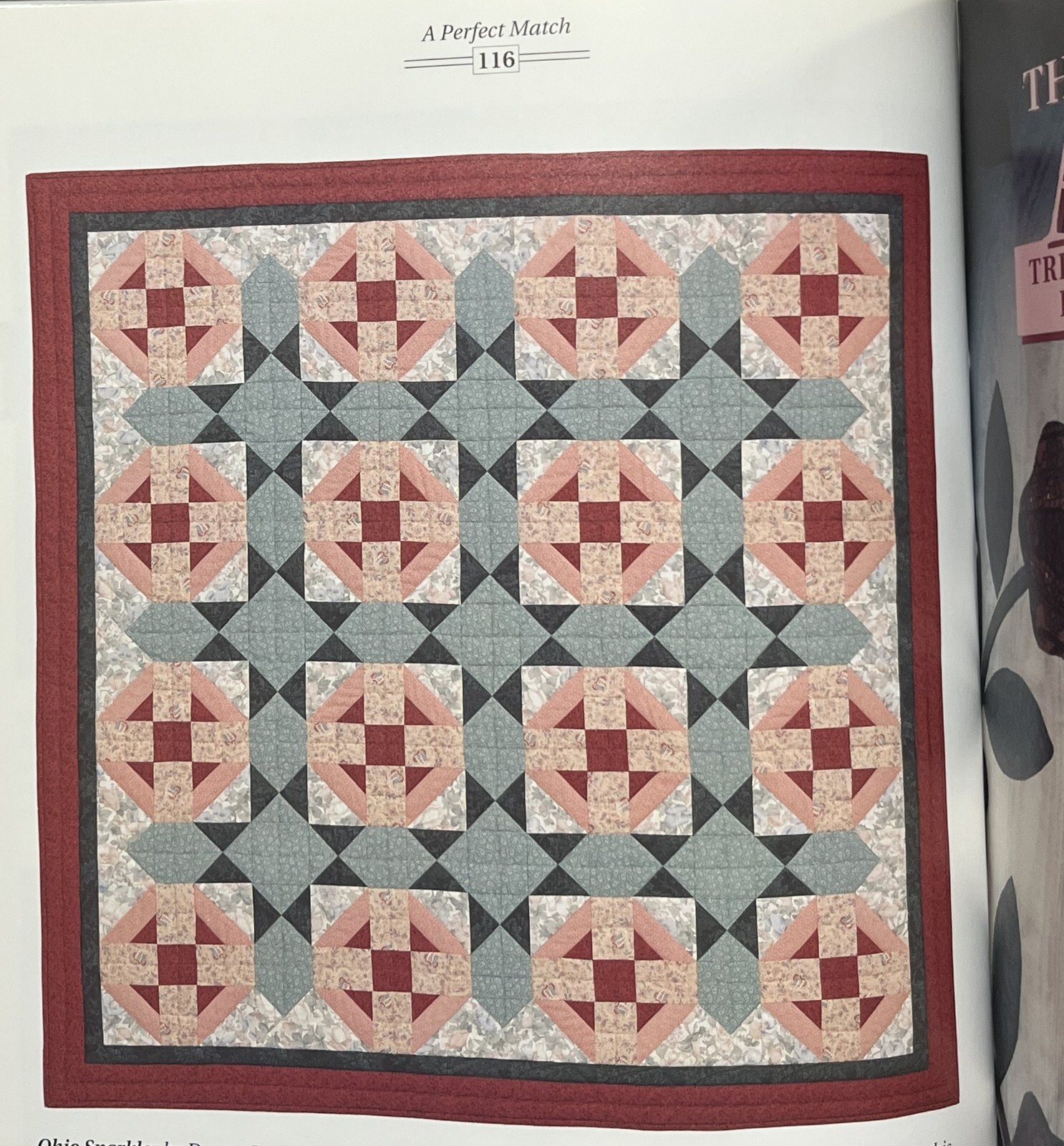 QUILTERS COMPANION, NEW LARGE BOOK, Techniques Tips, 11 PROJECTS, 314 pages
