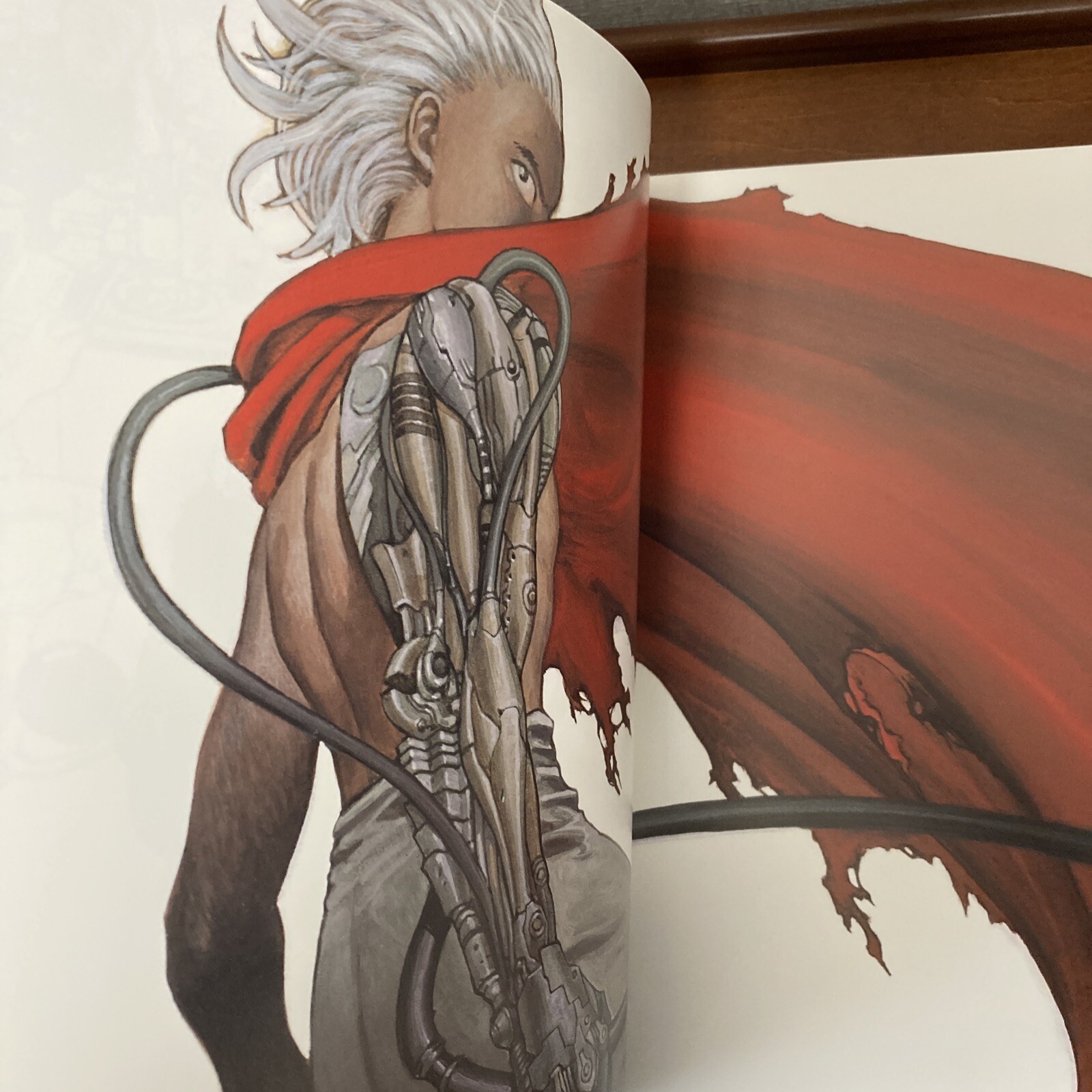 Otomo Katsuhiro Artwork KABA 2 Art Book Illustration