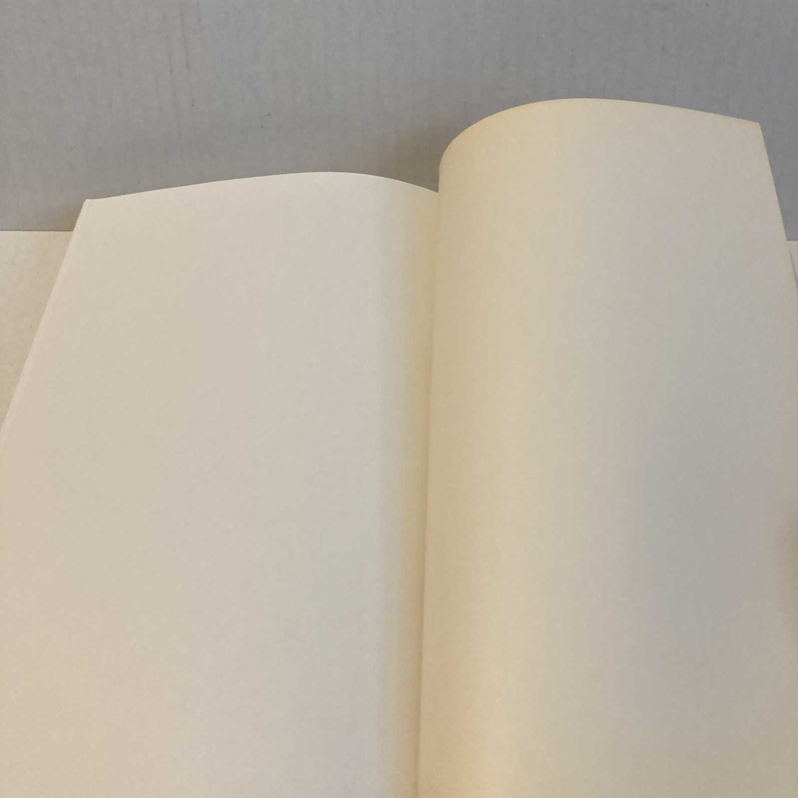 The Draft Horse Primer by Maurice Tellen 1977 Paperback 392 Pages