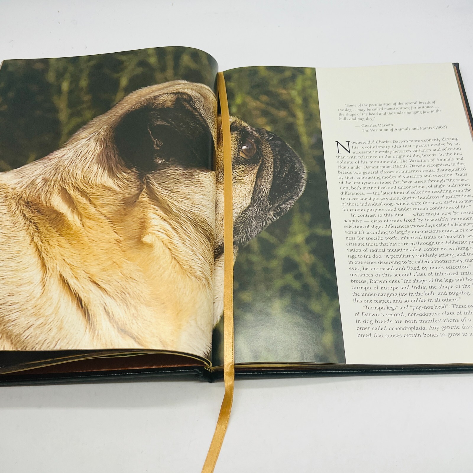 For The Love Of Pugs Book 1998 VTG Special Edition Robert Hutchinson EXC💥