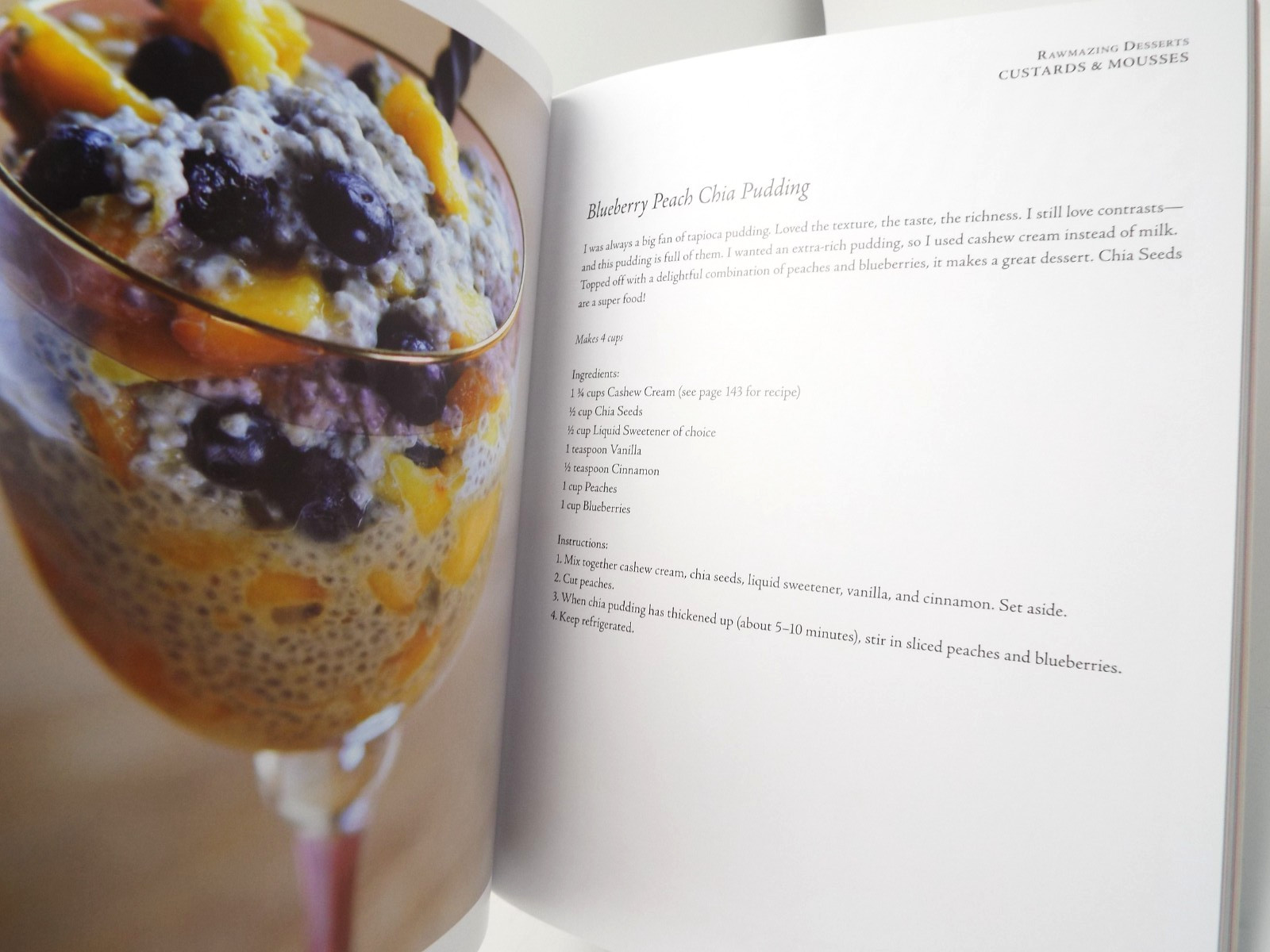 Rawmazing Desserts Easy Raw Food Recipes for Goodies ~ Susan Powers PB NEW