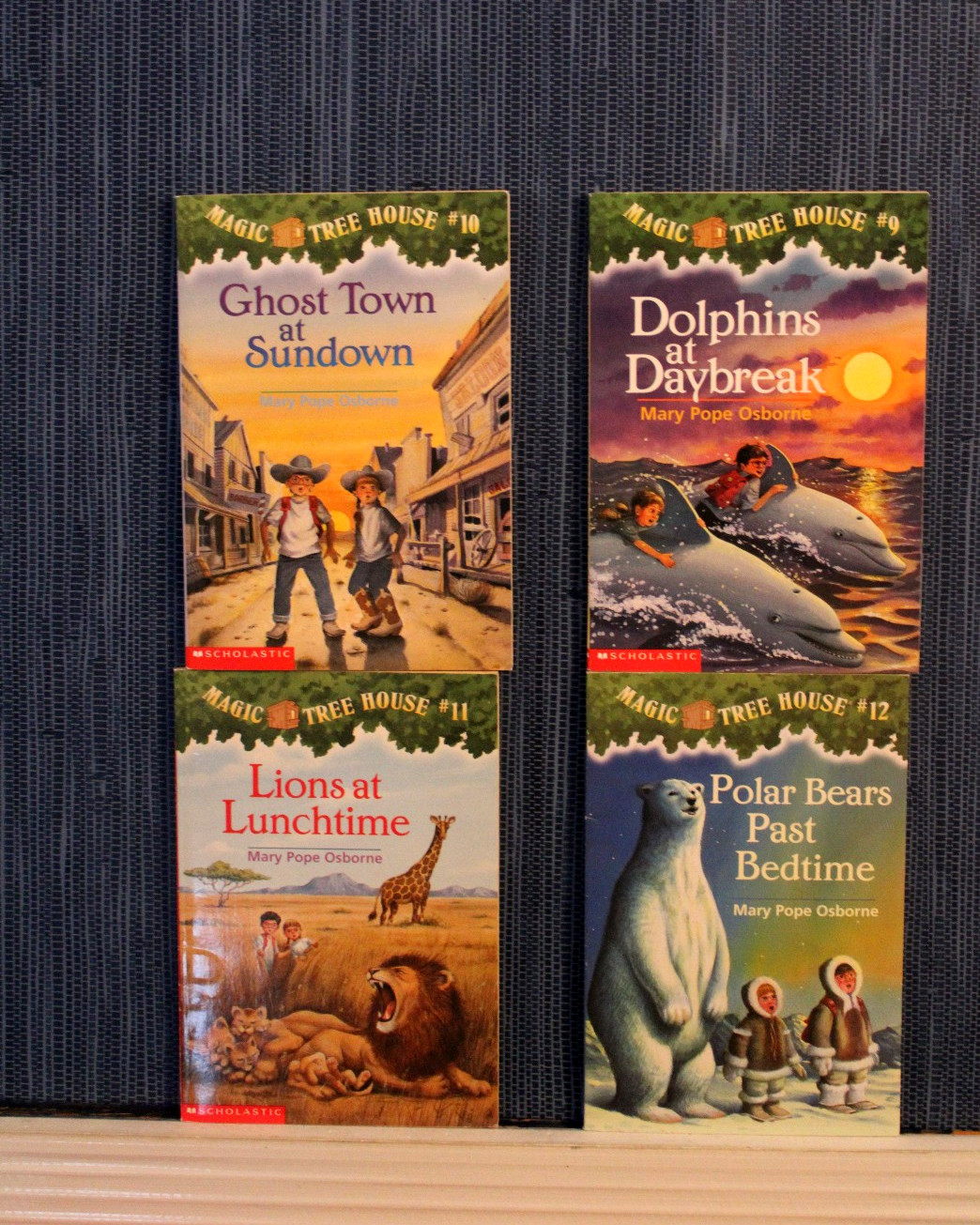 Magic Tree House Series 1-13 & 16-28 Chapter Book Lot Homeschool Teach Osborne