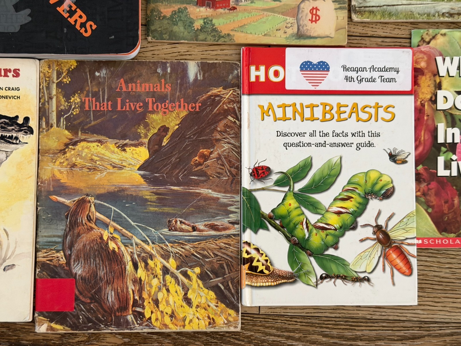 Lot of 15 Children’s Animal animals Picture Books Homeschool Sharks, Reptiles…
