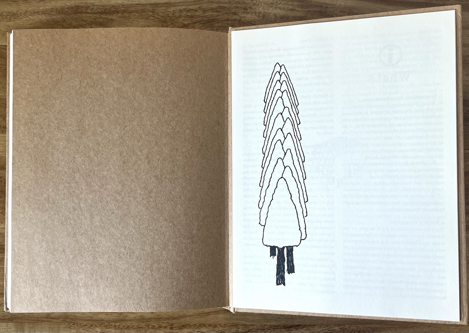 David Byrne Arboretum McSweeney’s 2006 Conceptual Art Book Illustrated