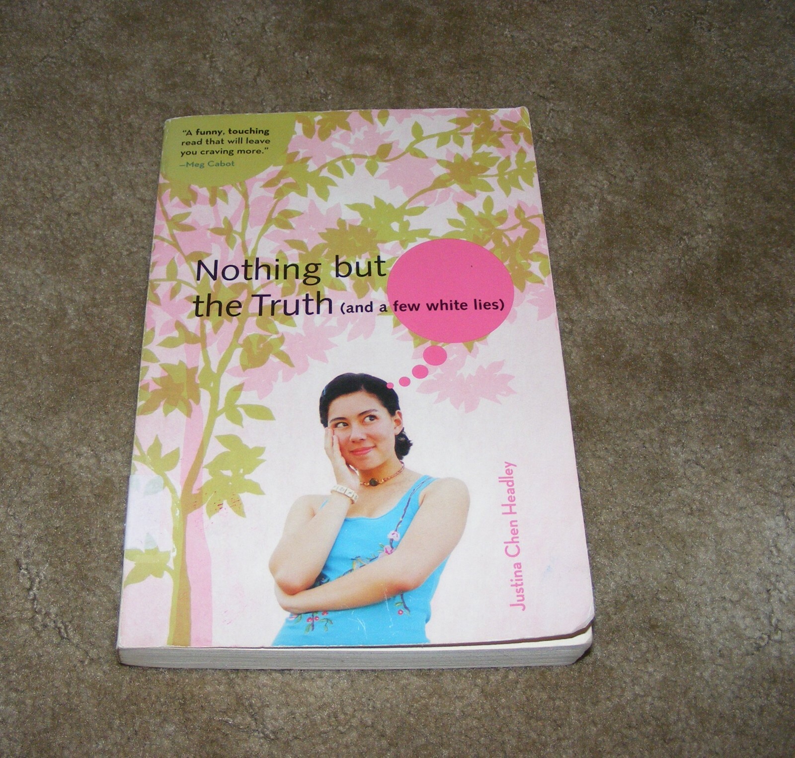 Nothing but the Truth (And a Few White Lies) by Justina Chen Headley (2007 PB)