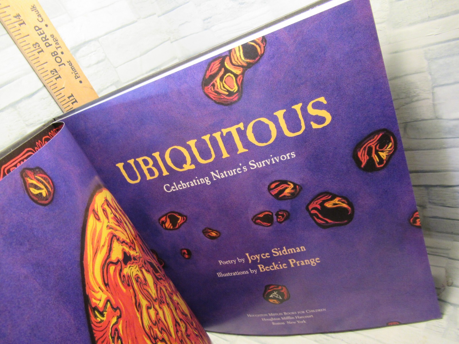Ubiquitous/ Celebrating Nature’s Survivors / by Joyce Sidman /
