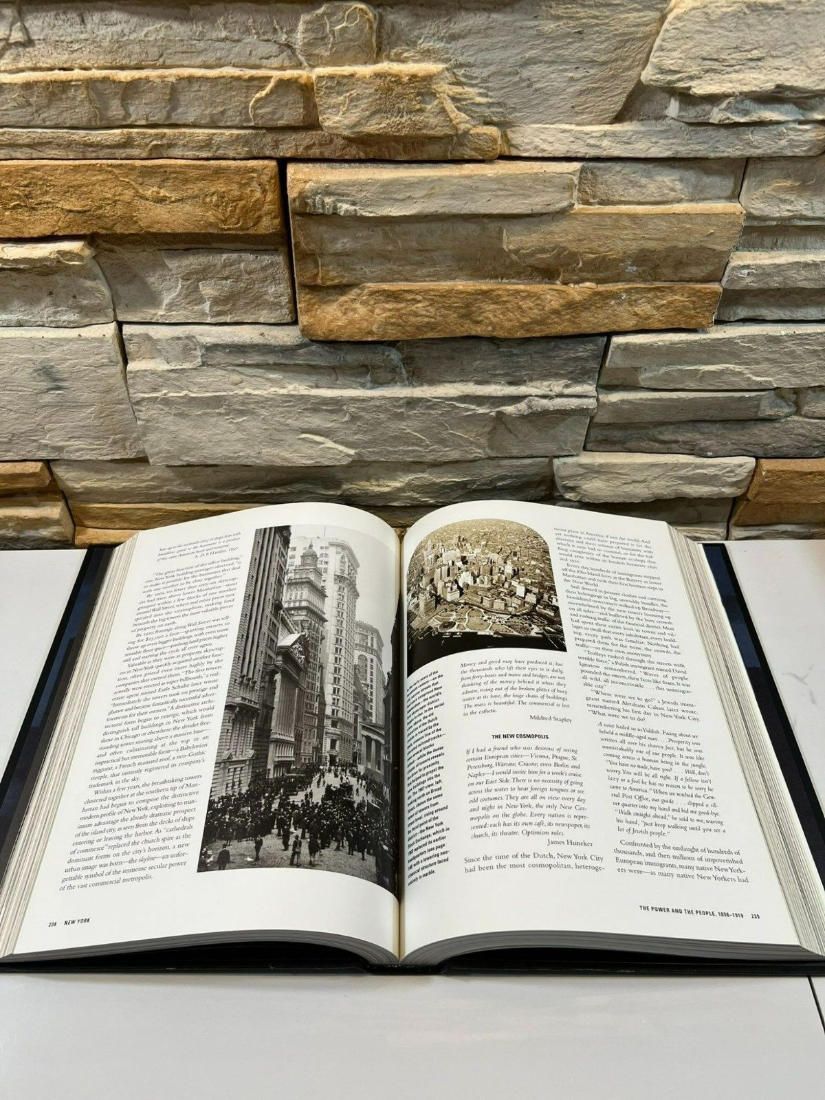 New York An Illustrated History Narrative by Ric Burns and James Sanders 1999
