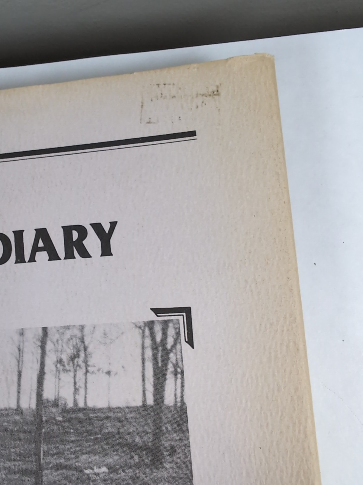 Ozark Diary By Minnie J. Sellens 1984, Privately Printed. Unique Book