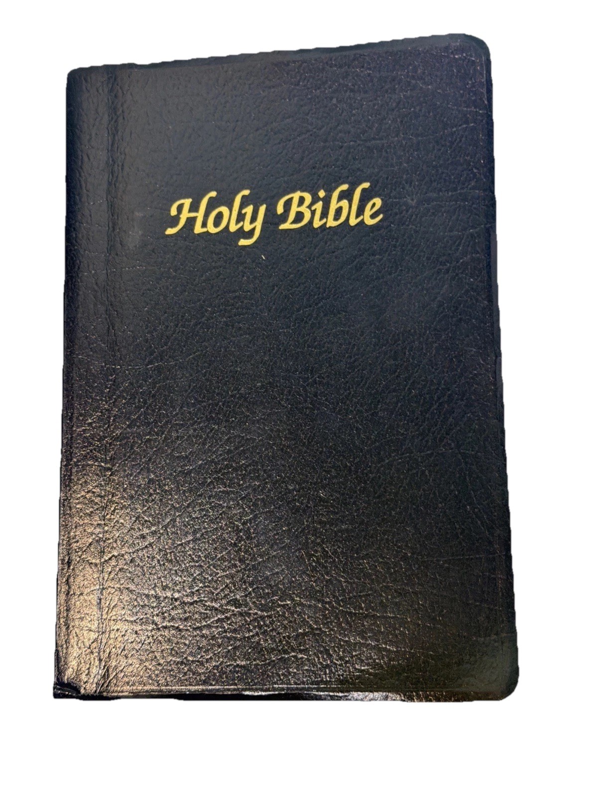 The New American Bible Revised Edition 2000 World Catholic Press Faux Leather PO