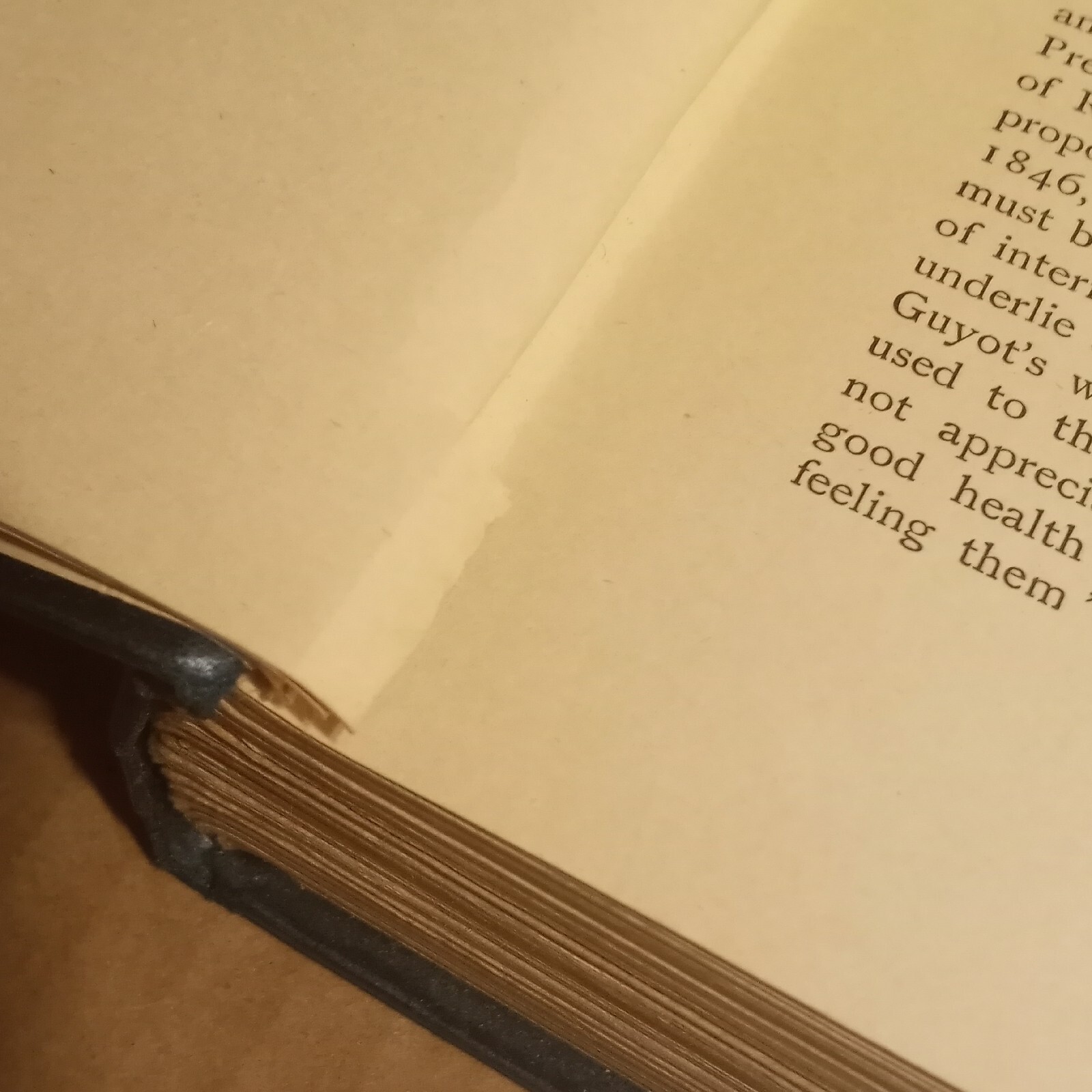 1904 The Return to Protection William Smart First Edition Antique Book