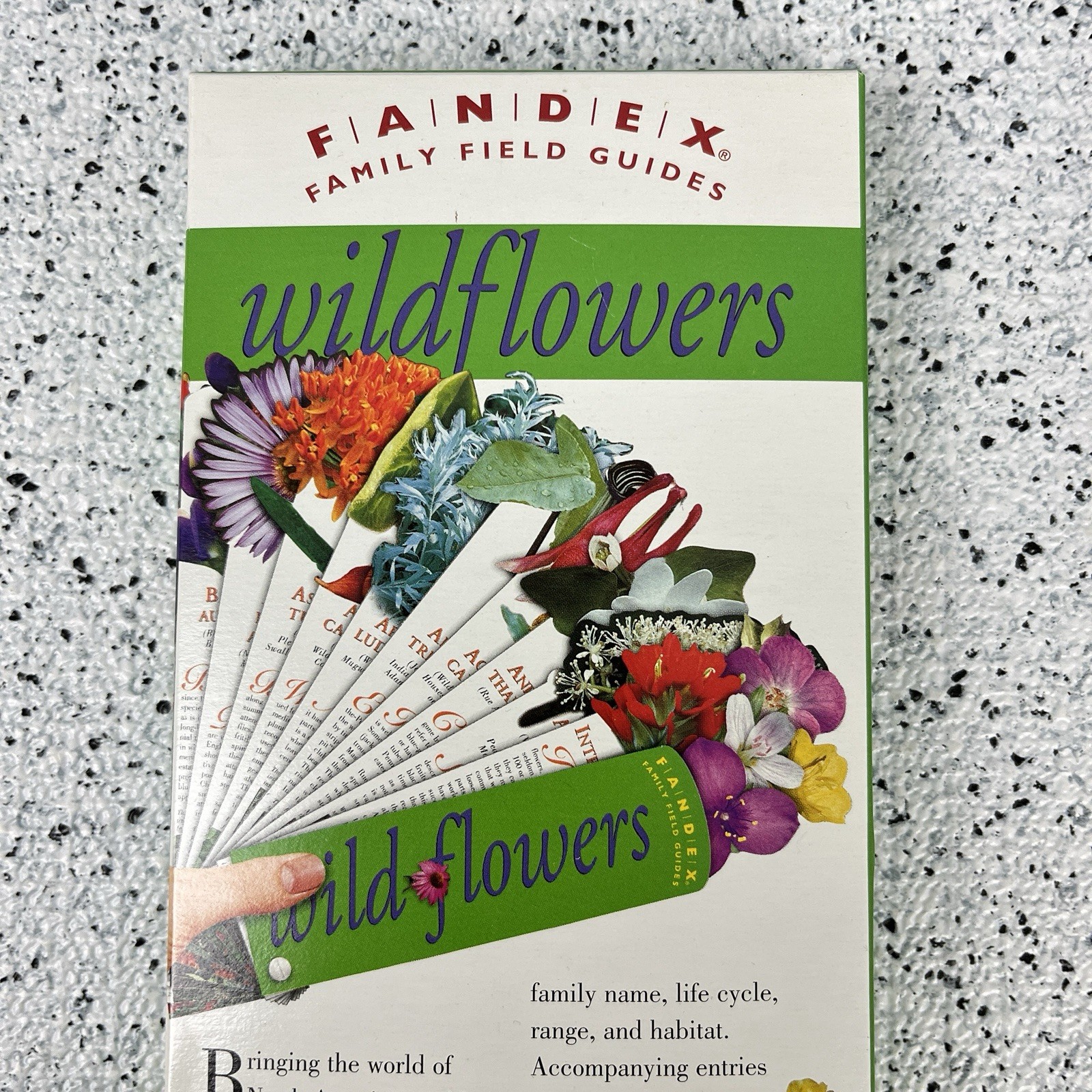 FANDEX Family Field Guide Wildflowers Full Color Die Cut Cards Homeschool