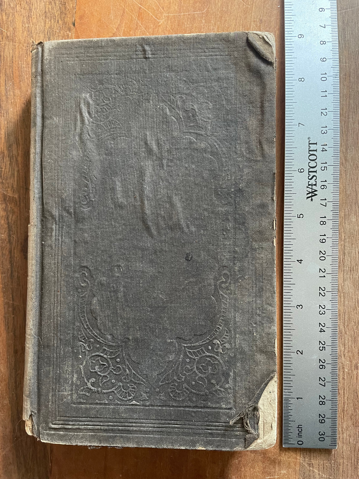 SCENERY OF THE PLAINS, MOUNTAINS & MINES BY FRANKLIN LANGWORTHY 1855 1st Edition