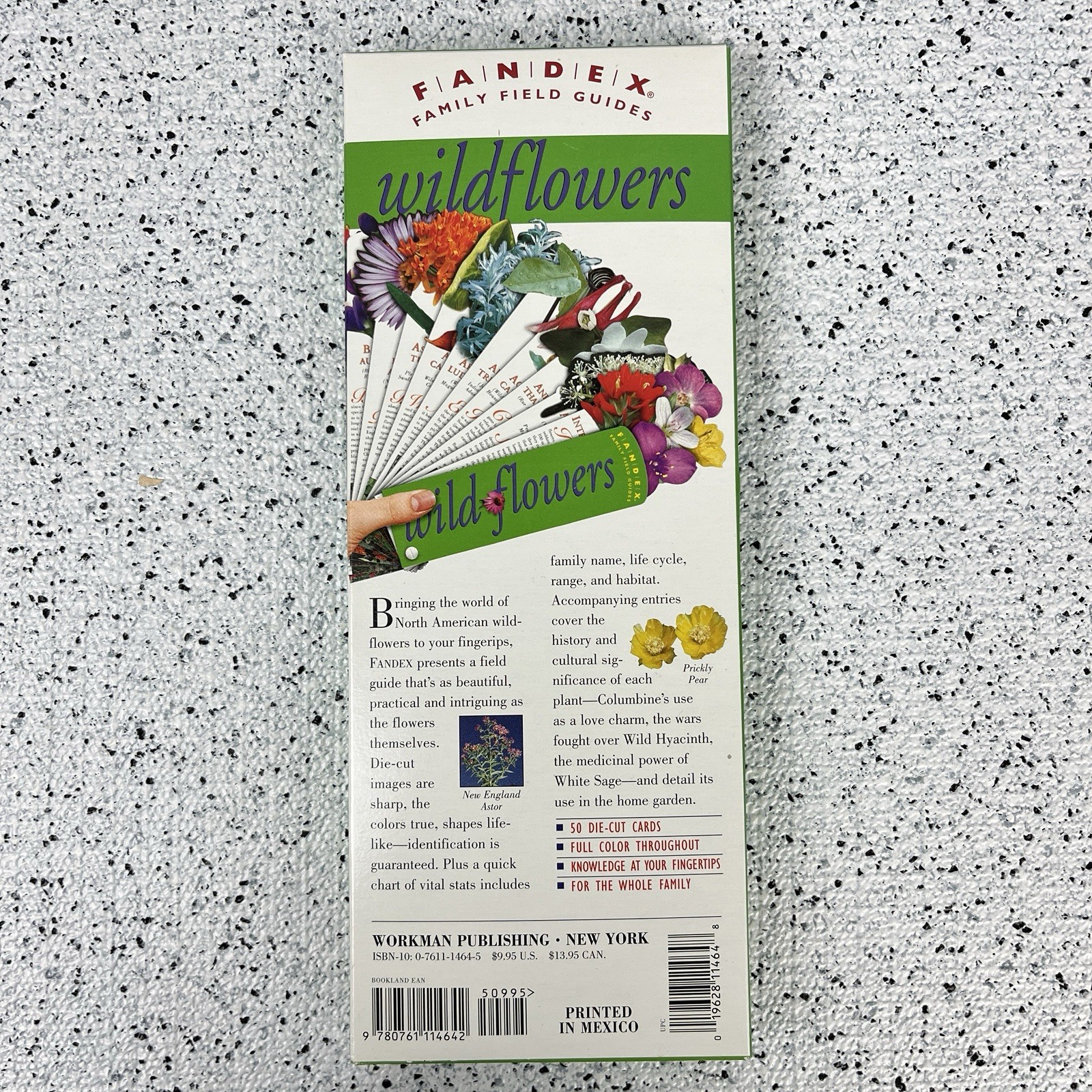 FANDEX Family Field Guide Wildflowers Full Color Die Cut Cards Homeschool