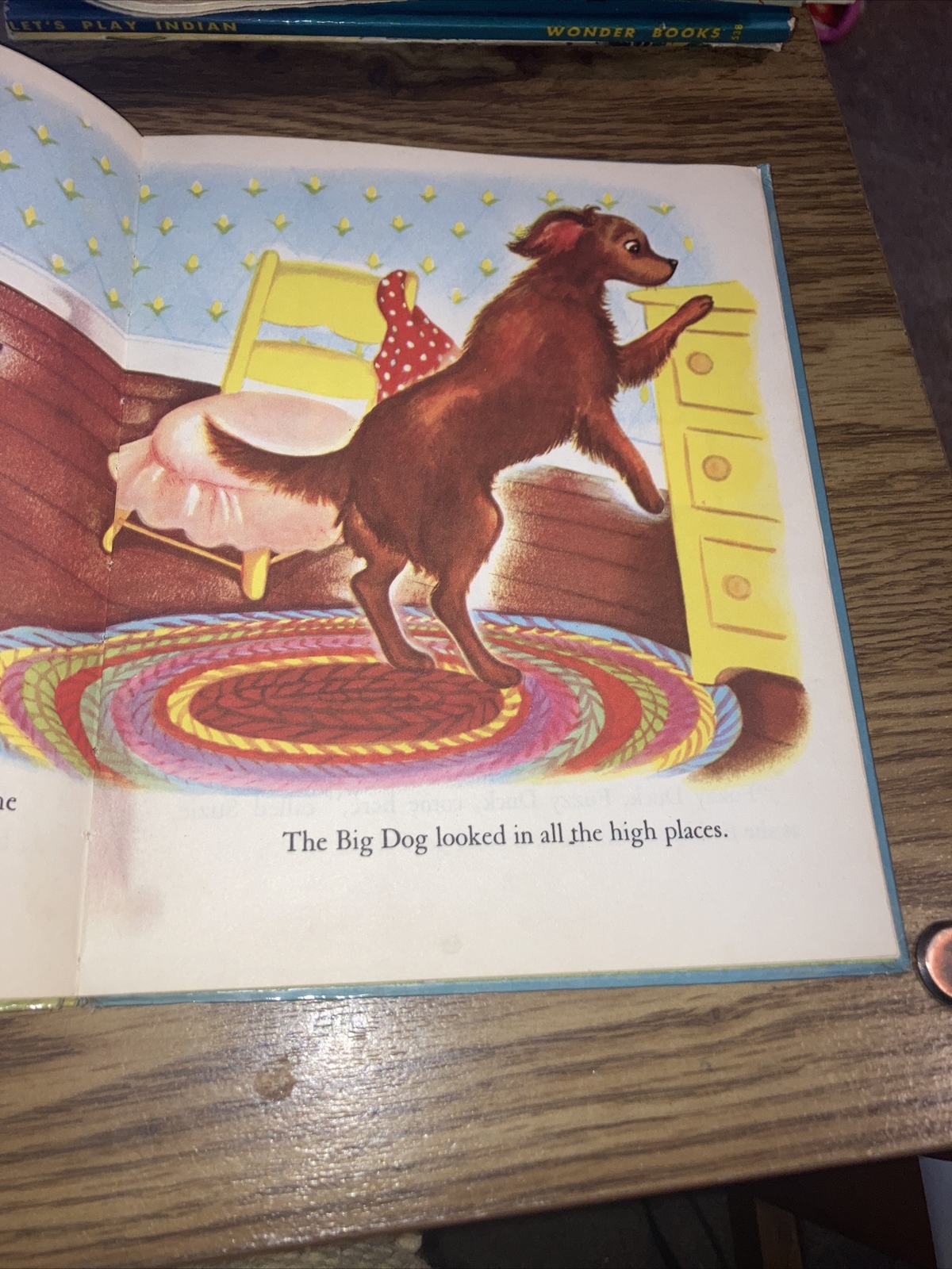 The Hide and Seek Duck by Irma Wilde , 1952 Wonder Books #568 Hardcover