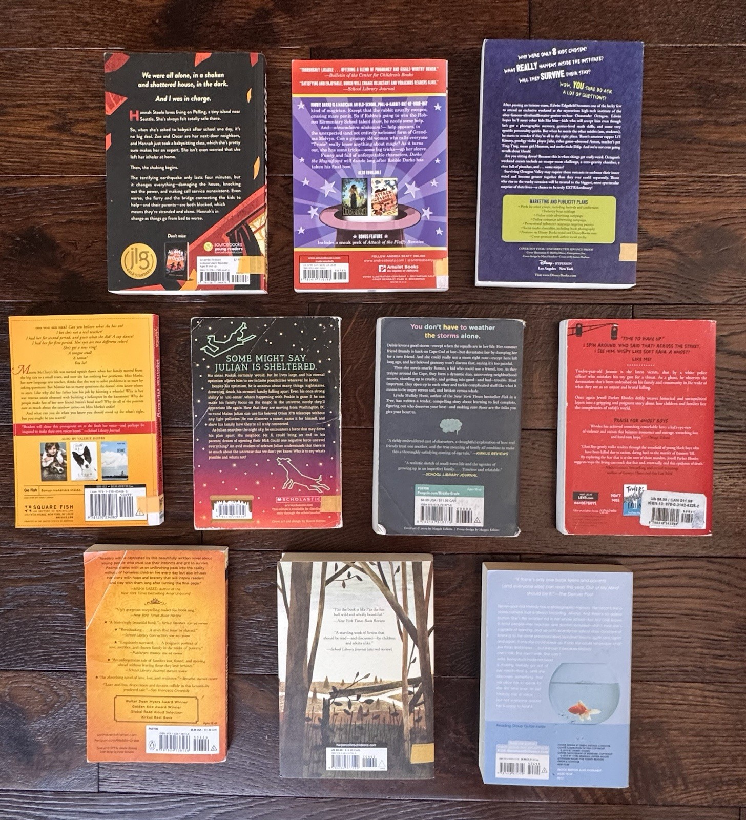 Set Of 10 Middle School Realistic Fiction Novels- Paperback Books