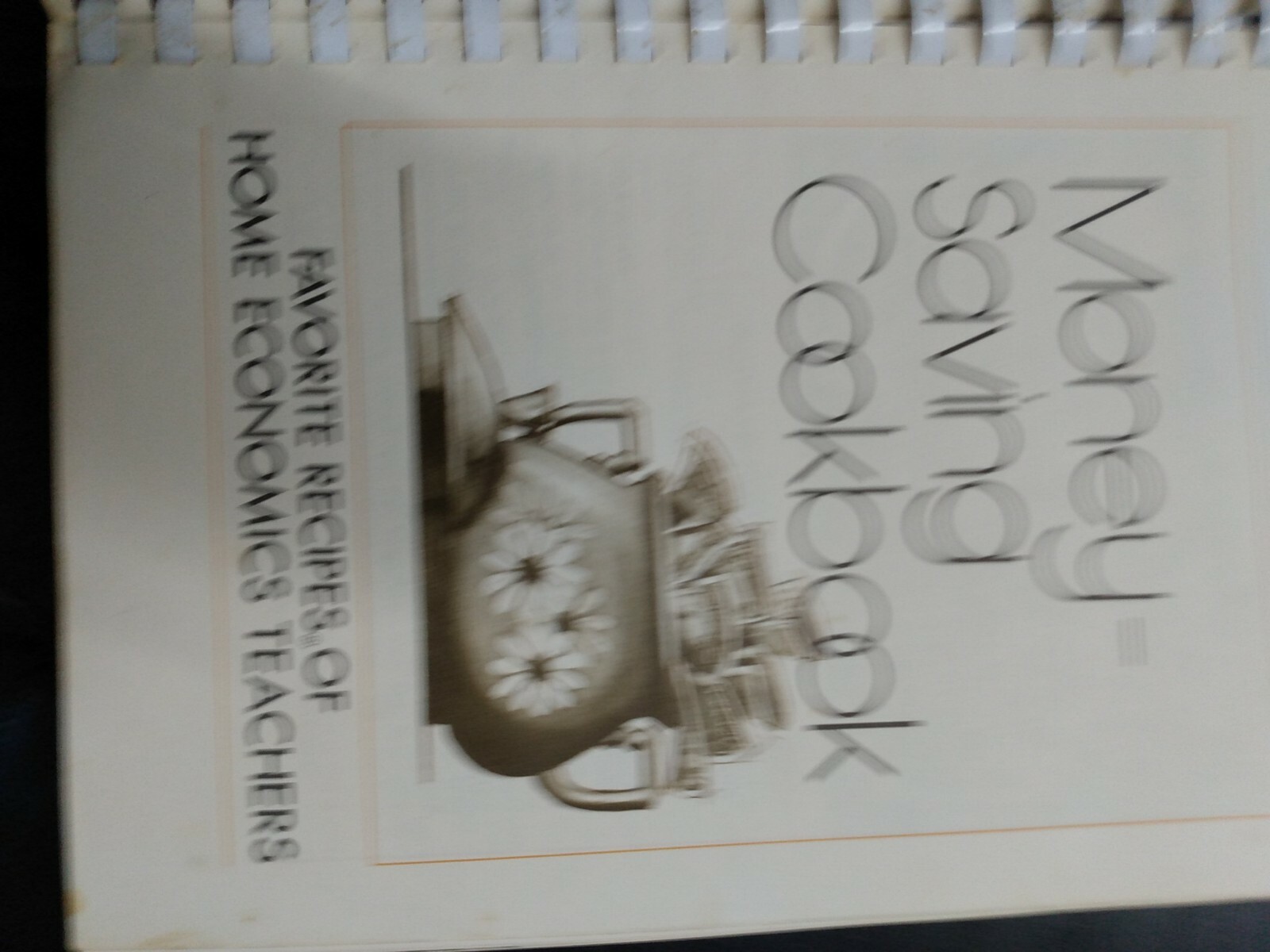 Vintage Money Saving Cookbook Recipes from Americas Home Economists 254 pages