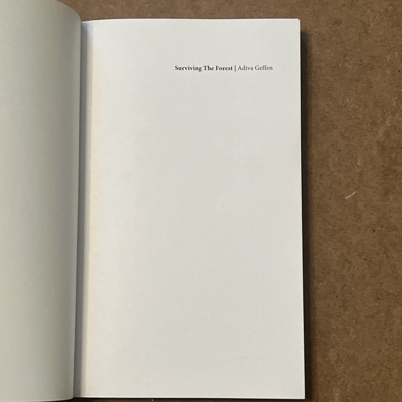 Surviving the Forest by ReadMore ReadMore Press and Adiva Geffen (2019, Trade…