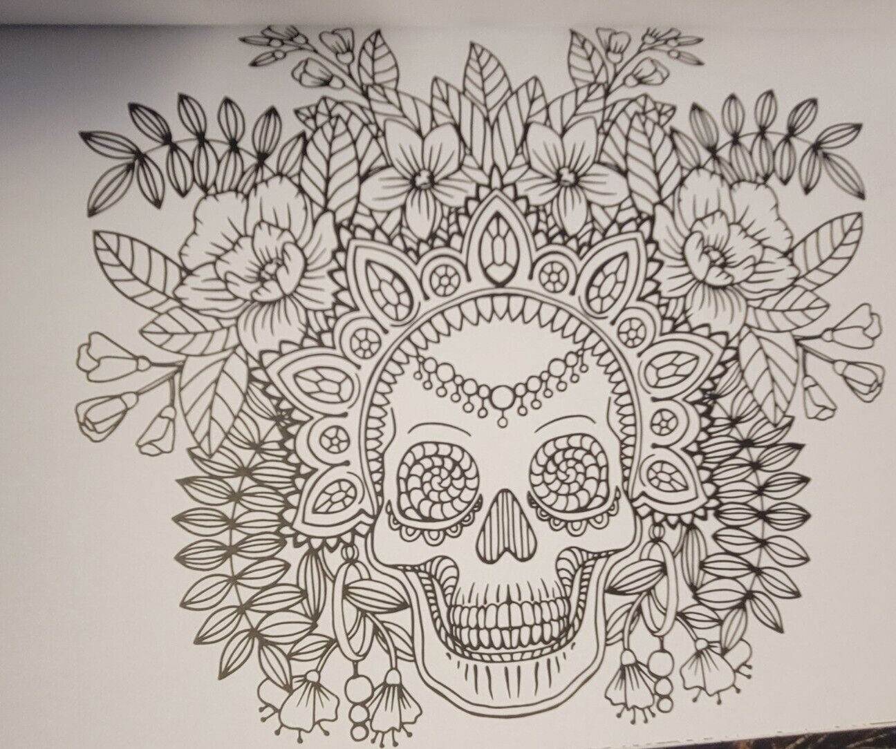 DAY OF THE DEAD Vol 5 Adult Coloring Book With 47 Prints Ready To Frame
