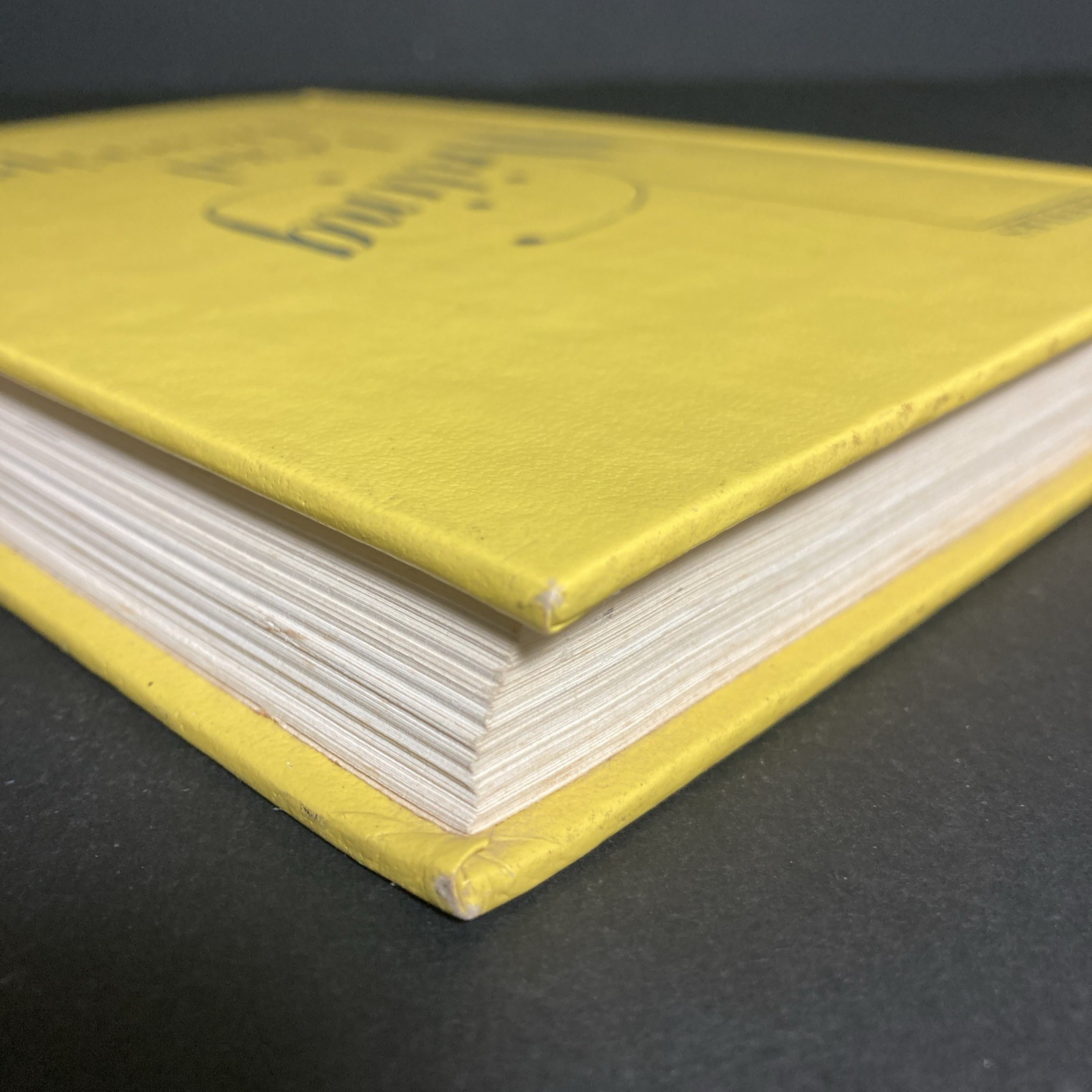Vintage 1976 | Writing Legal Descriptions | By Gurdon Wattles