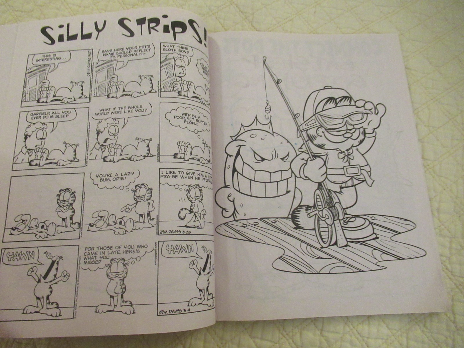 Garfield Coloring and Activity Books (2-Set) (Paperback) (Bendon Publishing)