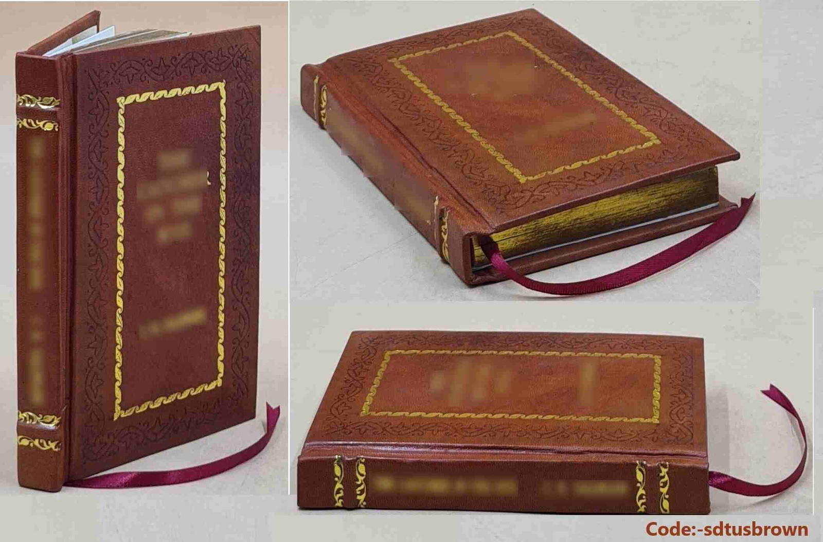 Carmilla, Deluxe Edition: The Cult Classic That Inspired [Premium Leather Bound]