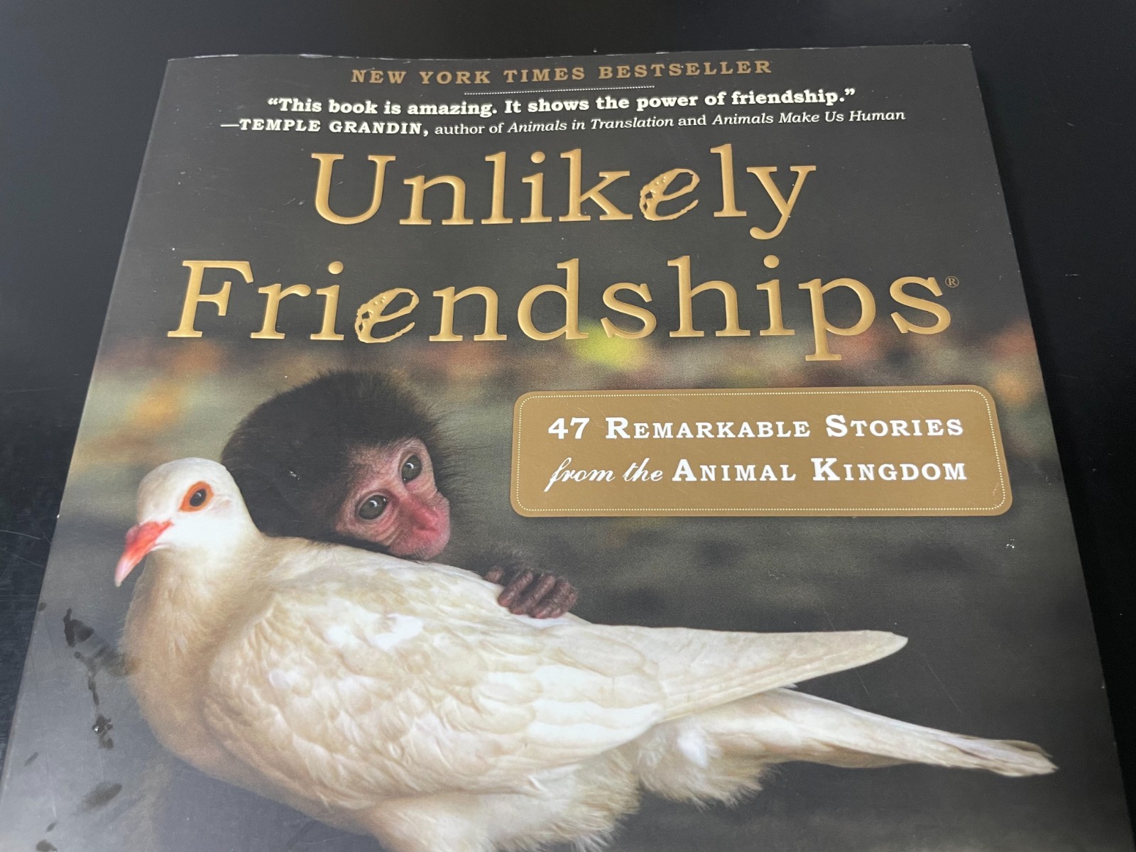 UNLIKELY FRIENDSHIPS BY JENNIFER S. HOLLAND 47 STORIES FROM THE ANIMAL KINGDOM