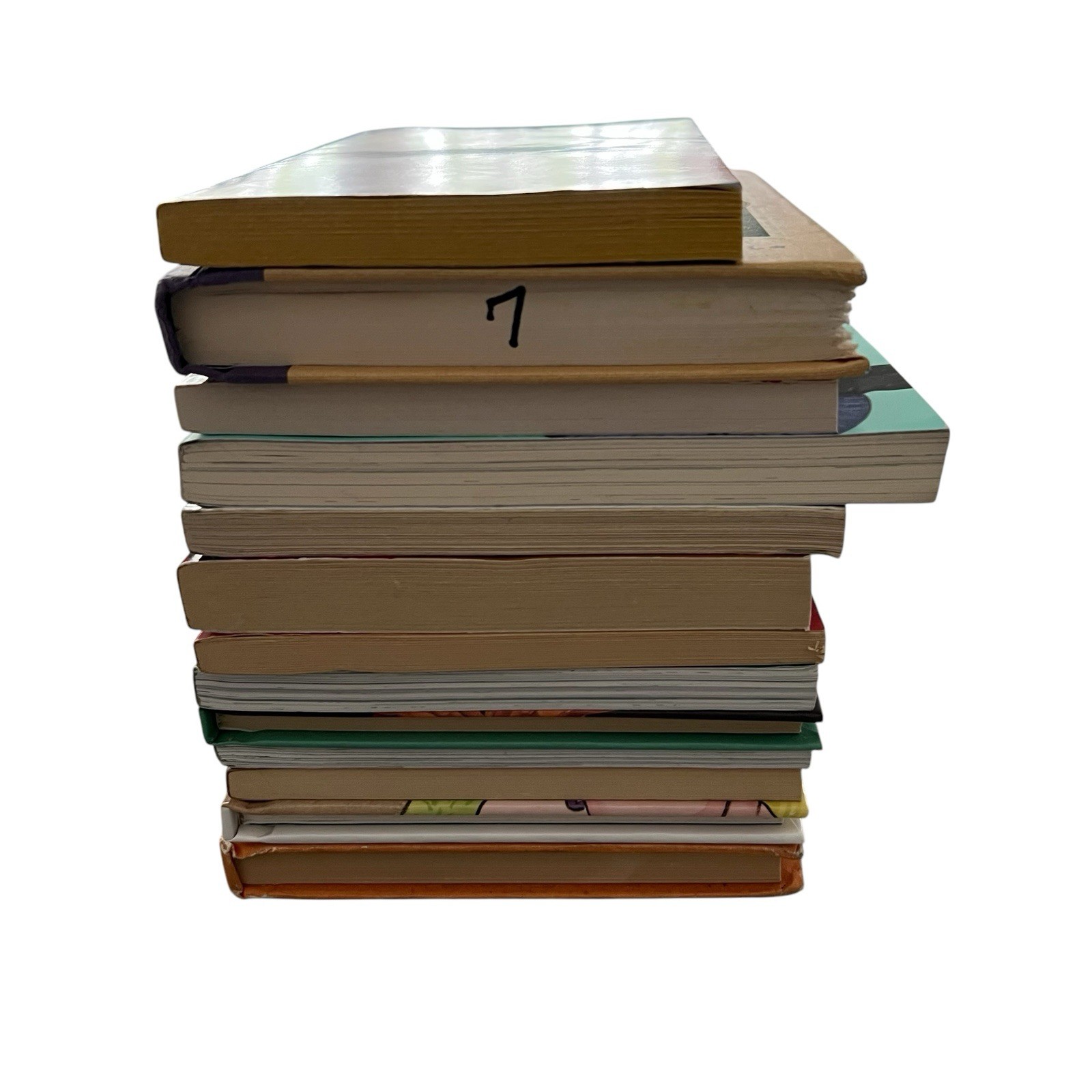 Random Lot of 13 Chapter Books By: Assorted Authors