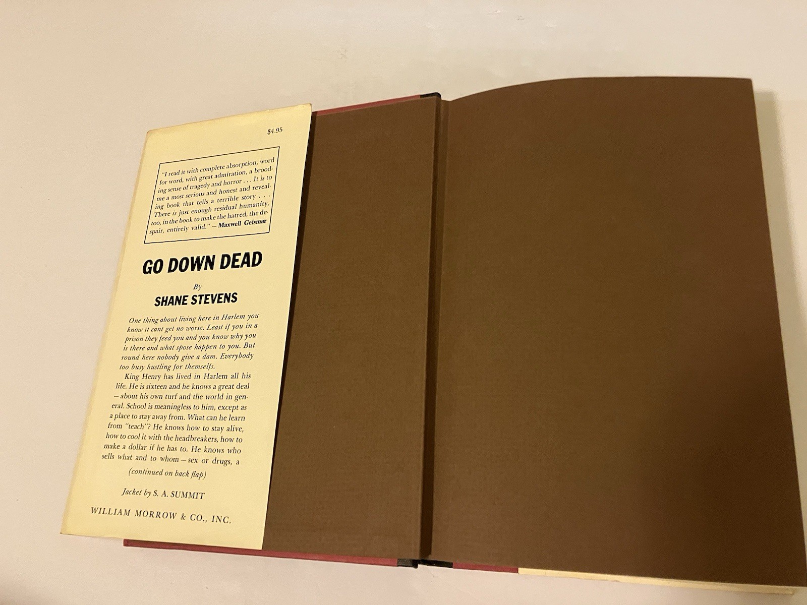 GO DOWN DEAD SHANE STEVENS 1966 HC DJ 1ST WILLIAM MORROW HARLEM GANG LIFE YOUTH
