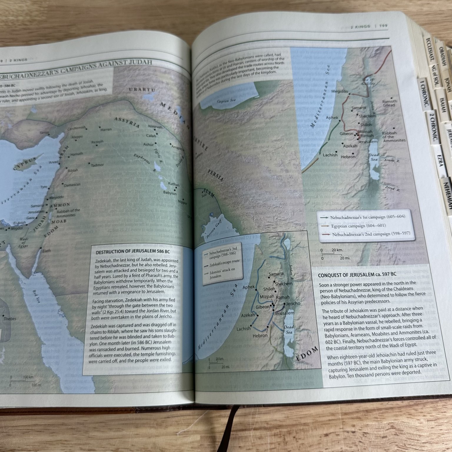NIV Zondervan Study Bible D. A. Carson 2011 LeatherTouch Thumb Indexed Zondervan